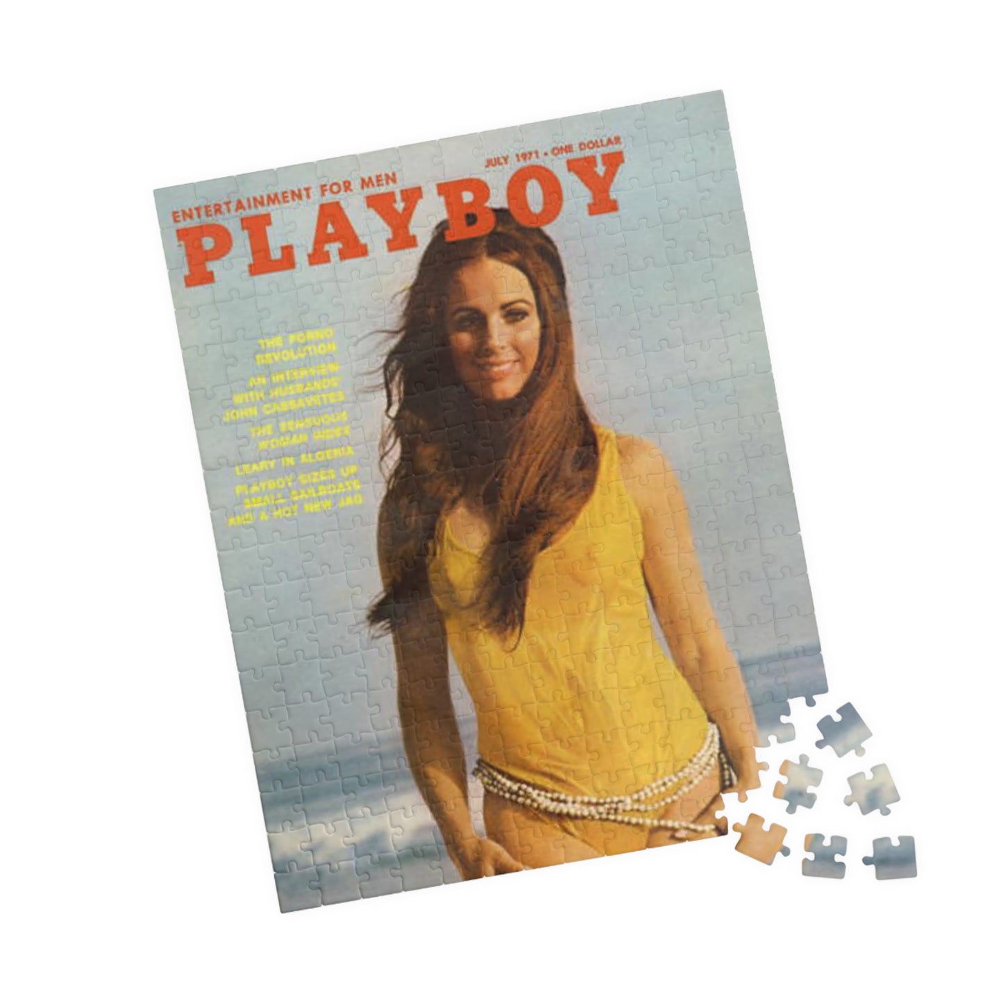 Puzzle (110, 252, 500, 1014-piece) Playboy Cover July 1971