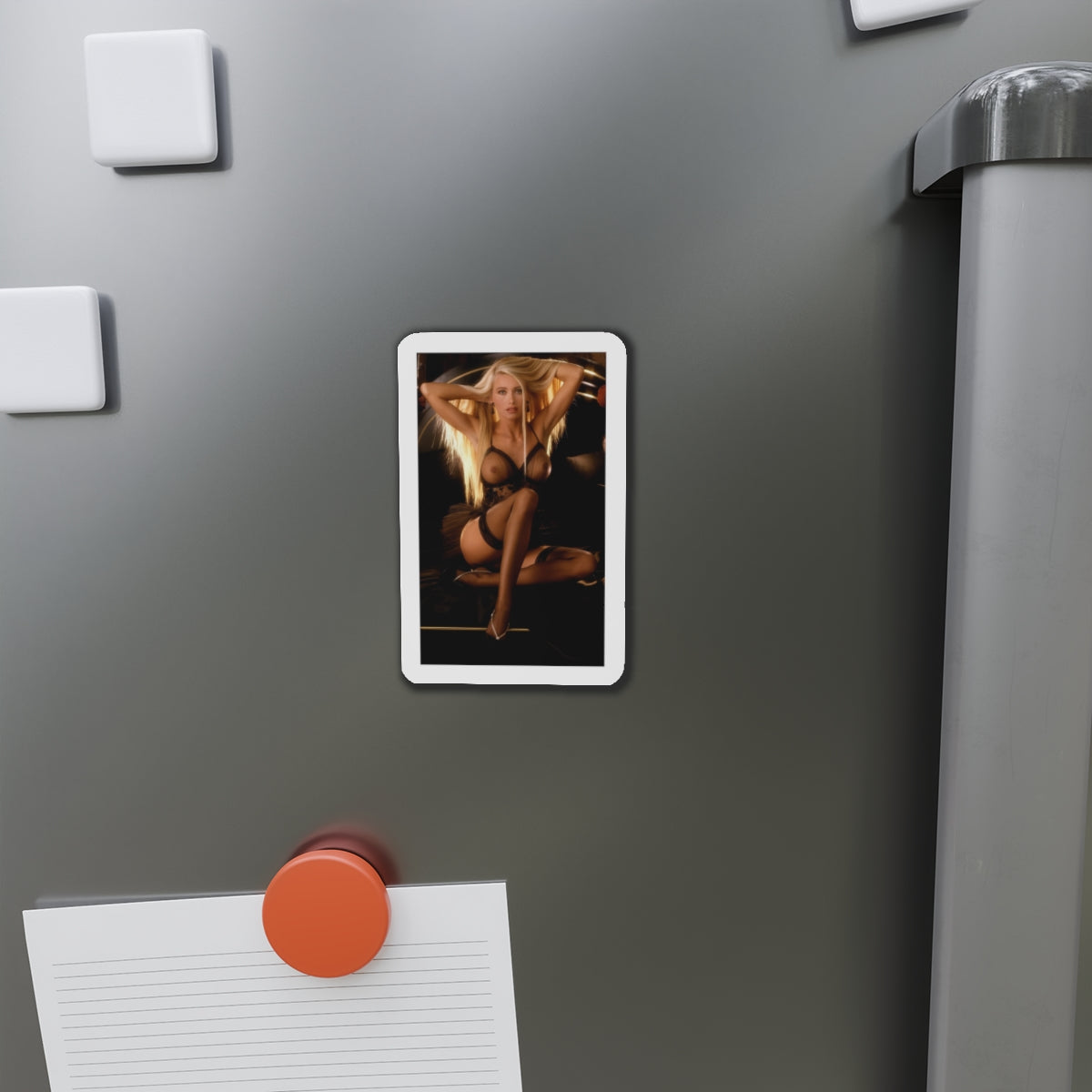 Die-Cut Magnets Playboy Playmate March 1993 Kimberly Donley