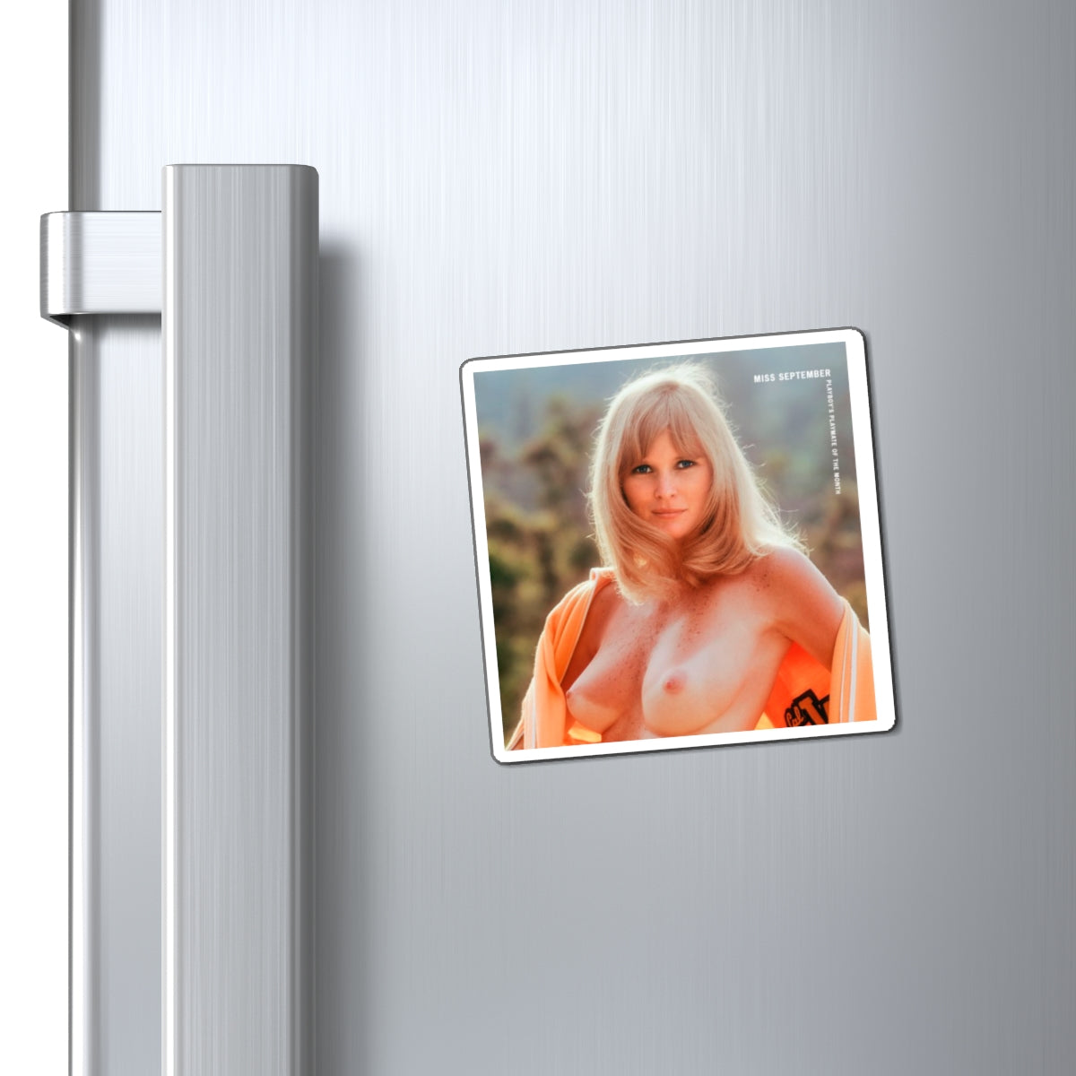 Magnets Playboy Playmate September 1973 Geri Glass