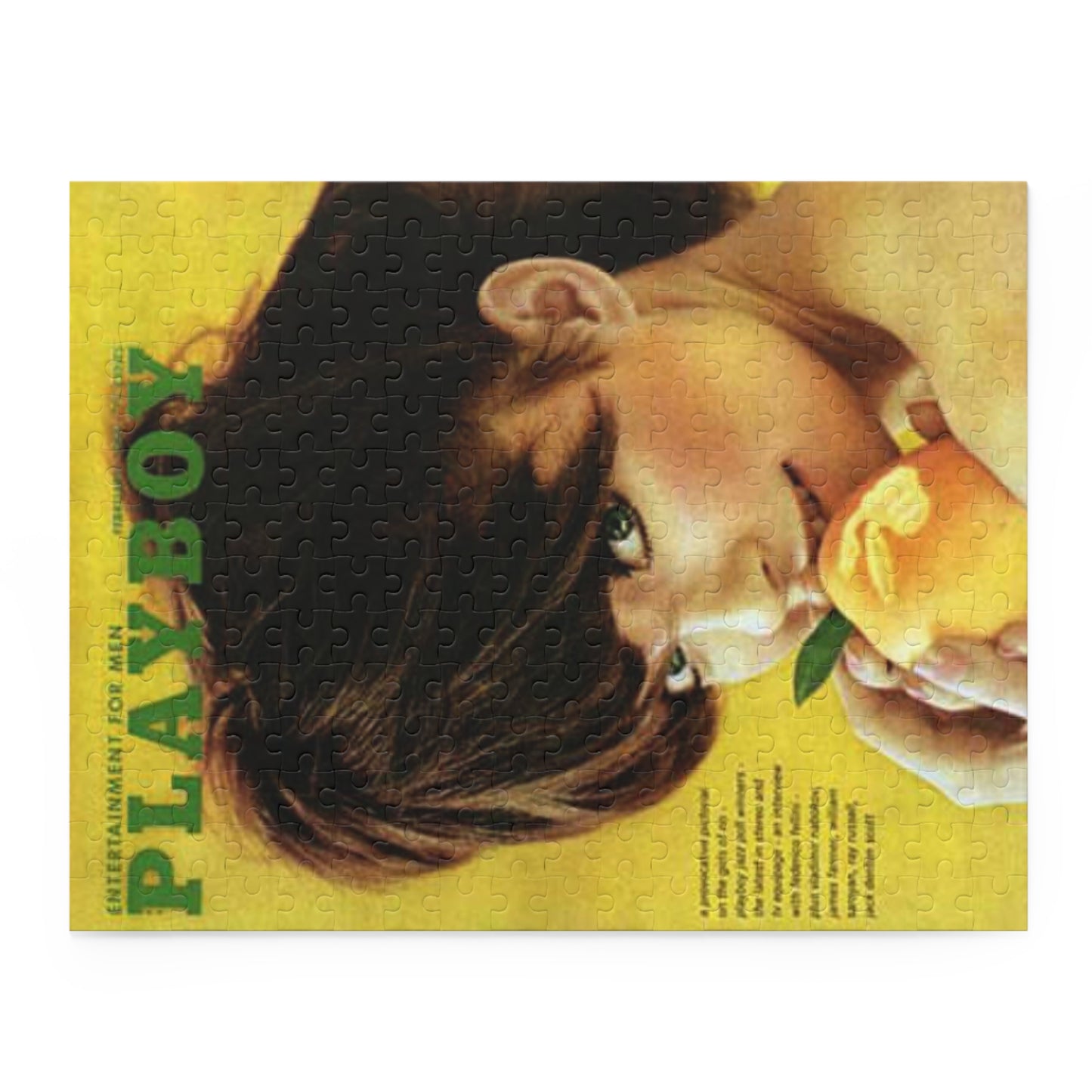 Puzzle (120, 252, 500-Piece) Playboy Cover February 1966