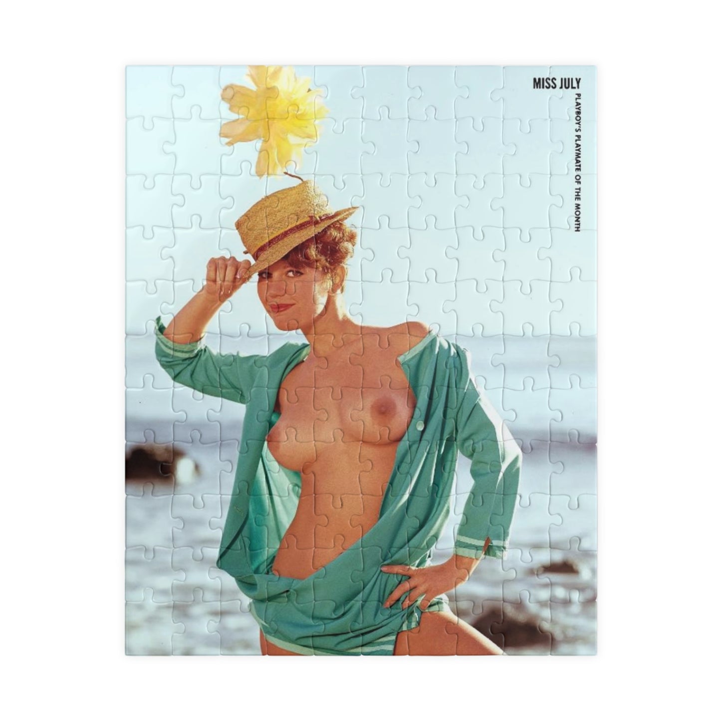 Puzzle (110, 252, 500, 1014-piece) Playboy Playmate July 1965 Gay Collier