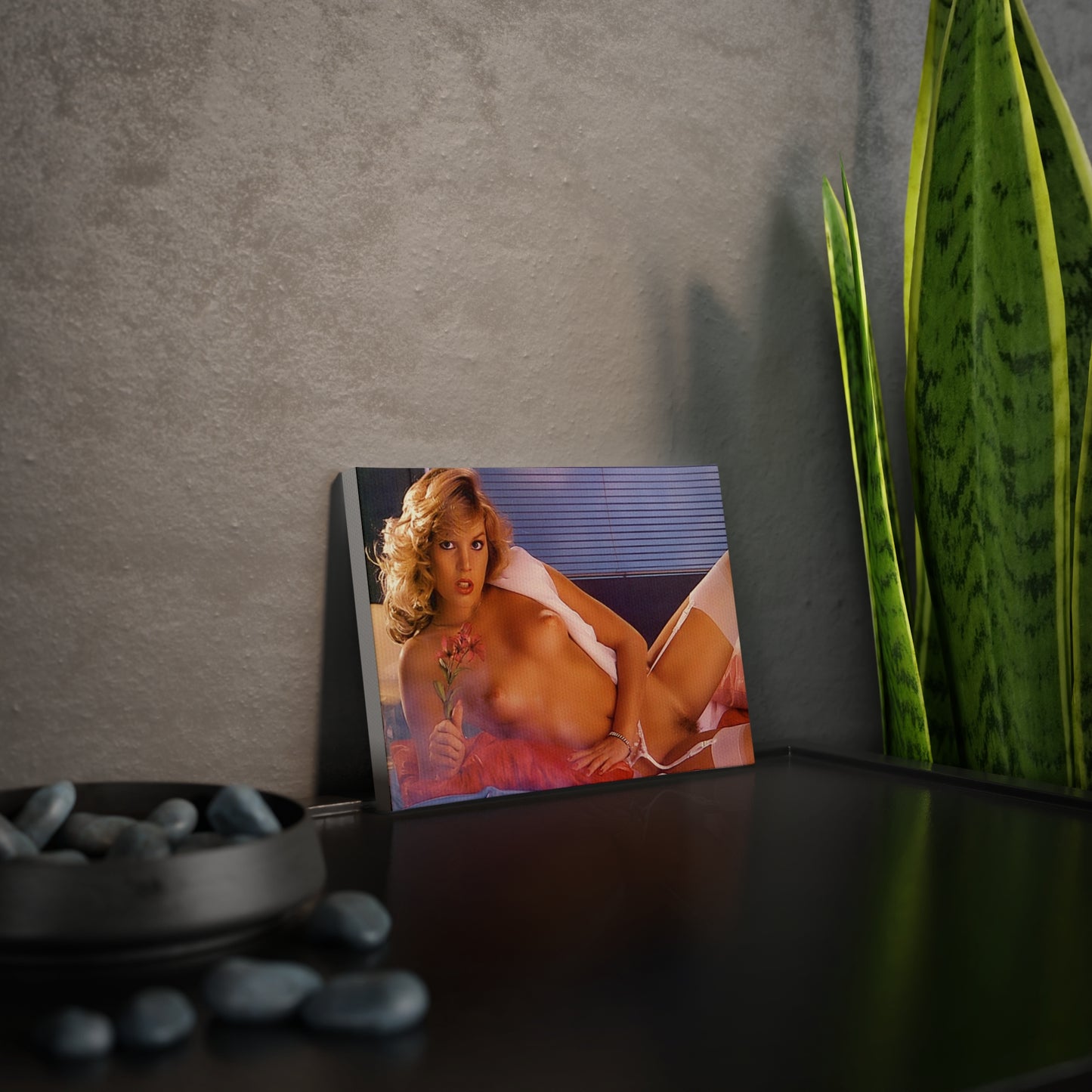 Canvas Photo Tile Retro Pornstar Shauna Grant Nude