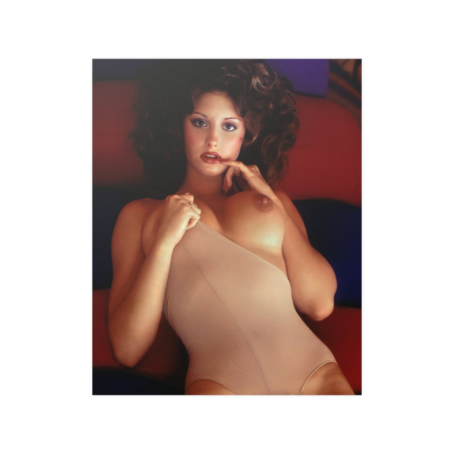 Satin Posters (210gsm) Playboy Playmate February 1975 Laura Misch