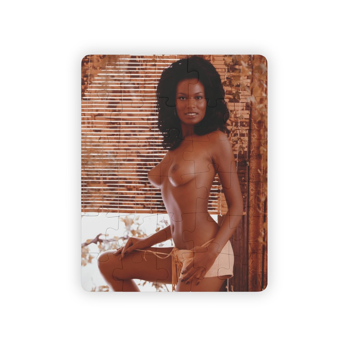 Puzzle, 30-Piece Playboy Playmate April 1973 Julie Woodson