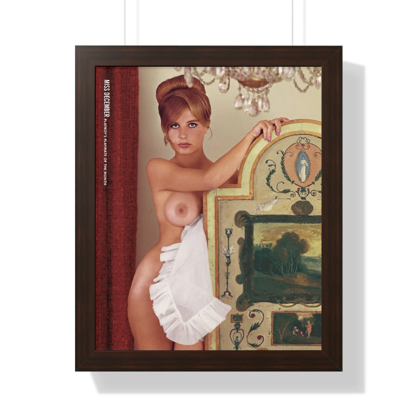 Framed Vertical Poster Playboy Playmate December 1963 Donna Michelle