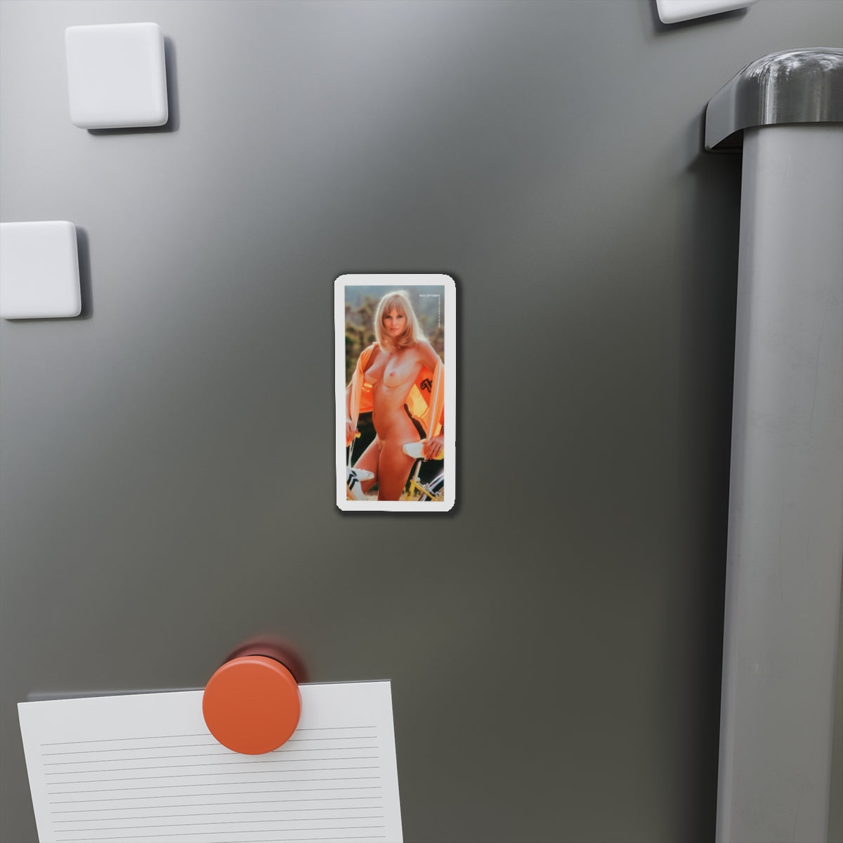 Die-Cut Magnets Playboy Playmate September 1973 Geri Glass