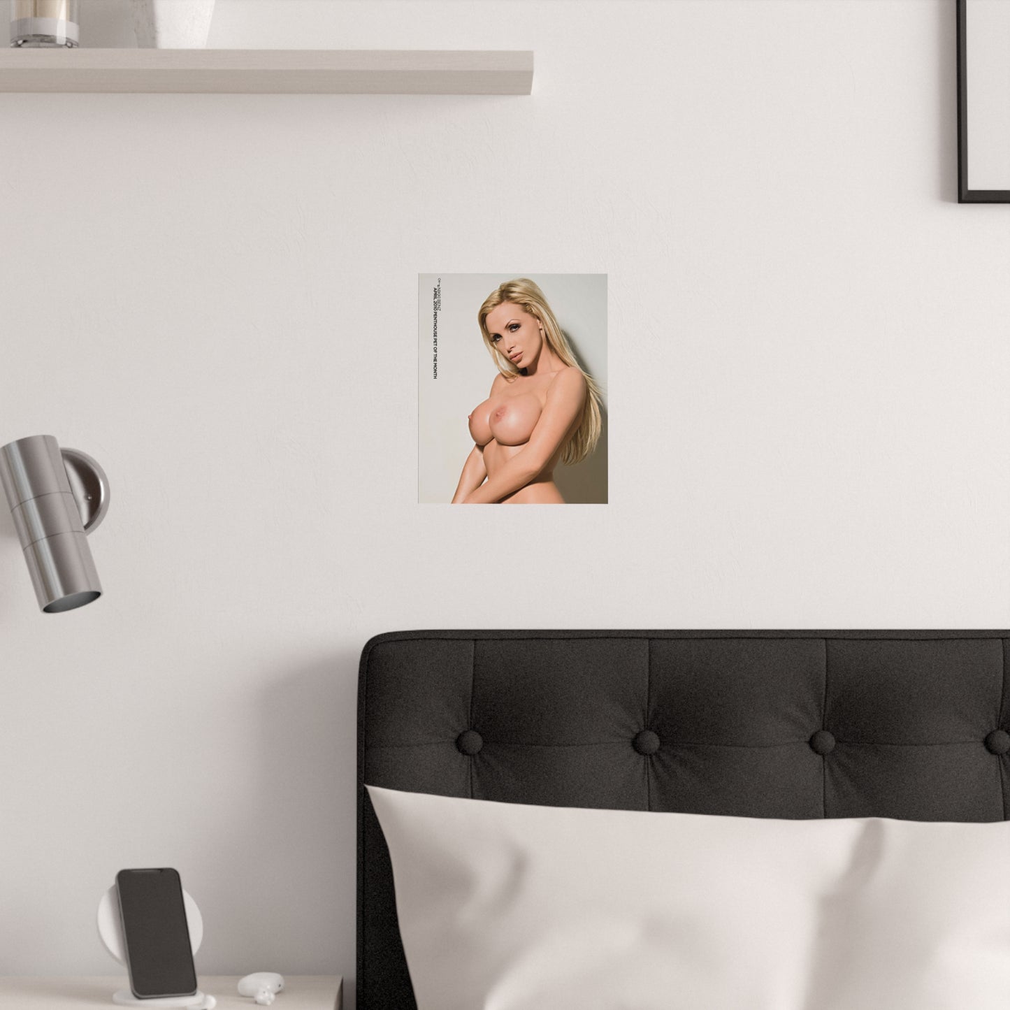 Satin Posters (210gsm) Penthouse Pet April 2010 Nikki Benz