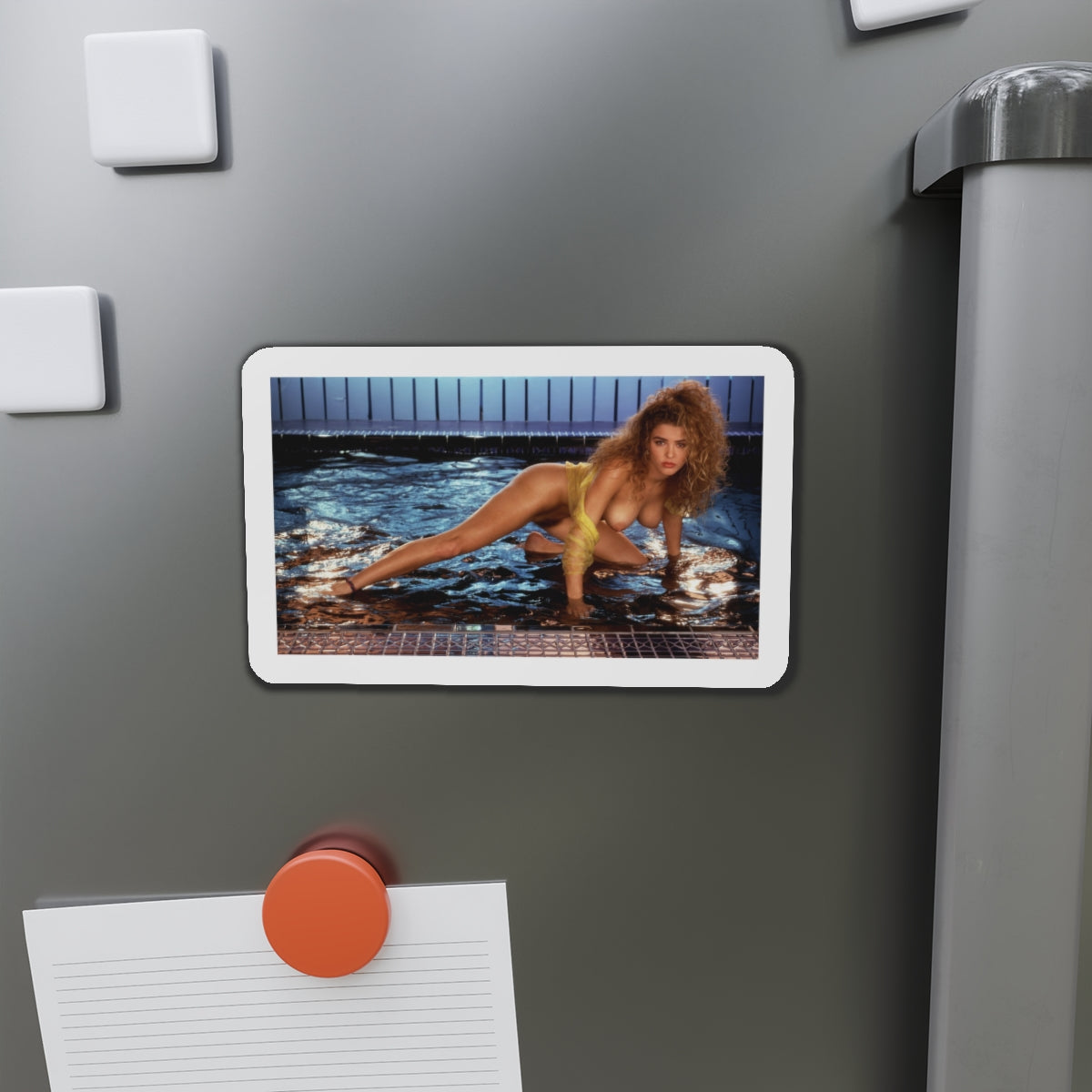 Die-Cut Magnets Playboy Playmate August 1991 Corinna Harney