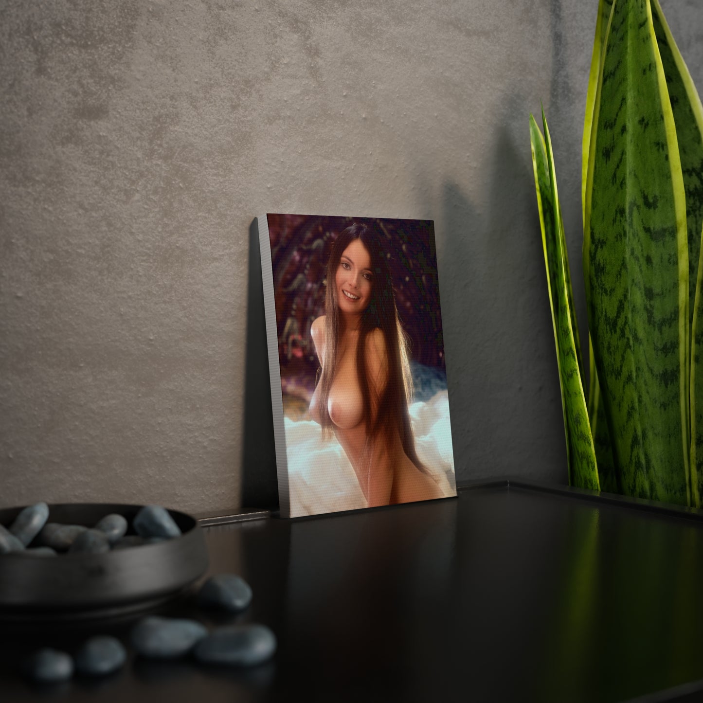 Canvas Photo Tile Playboy Playmate December 1973 Christine Maddox