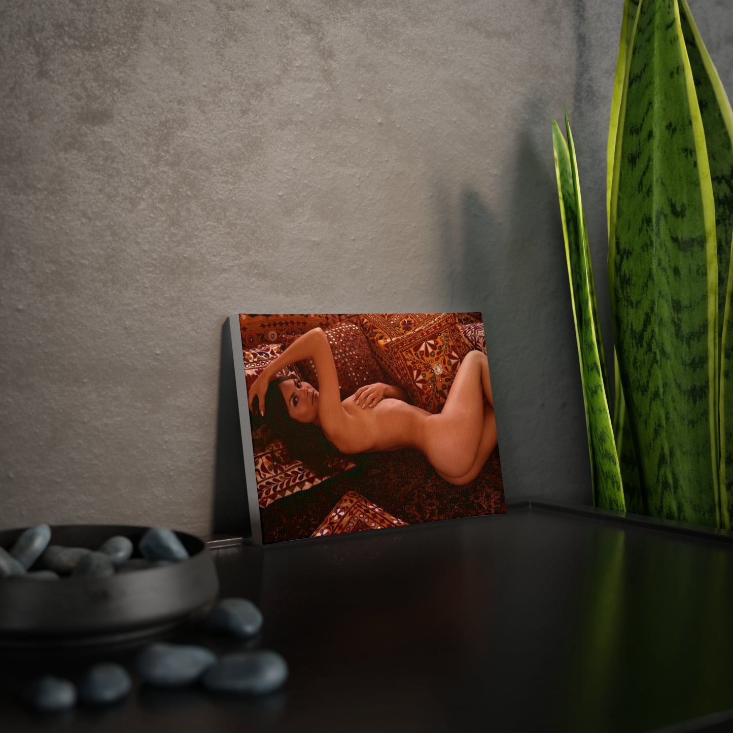 Canvas Photo Tile Playboy Playmate July 1971 Heather Van Every