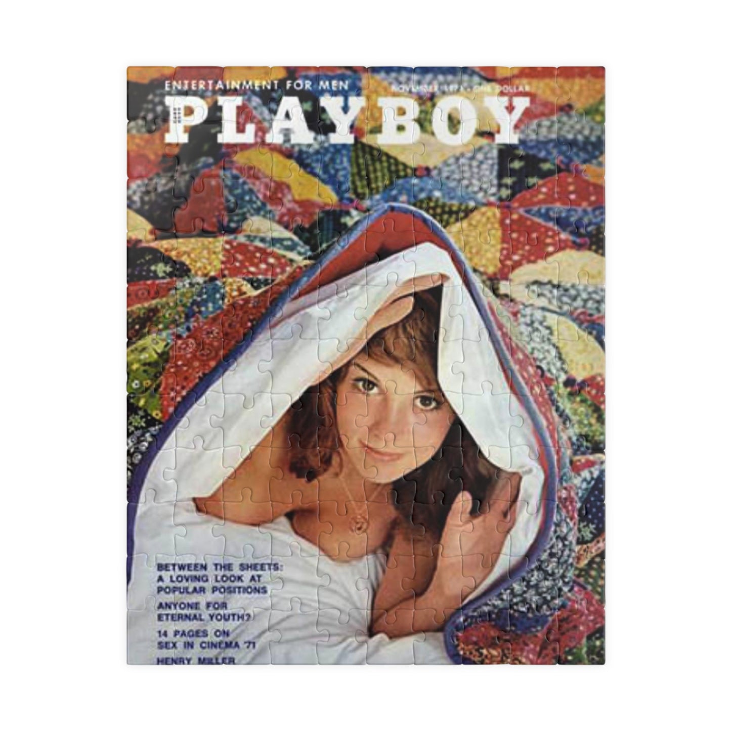 Puzzle (110, 252, 500, 1014-piece) Playboy Cover November 1971