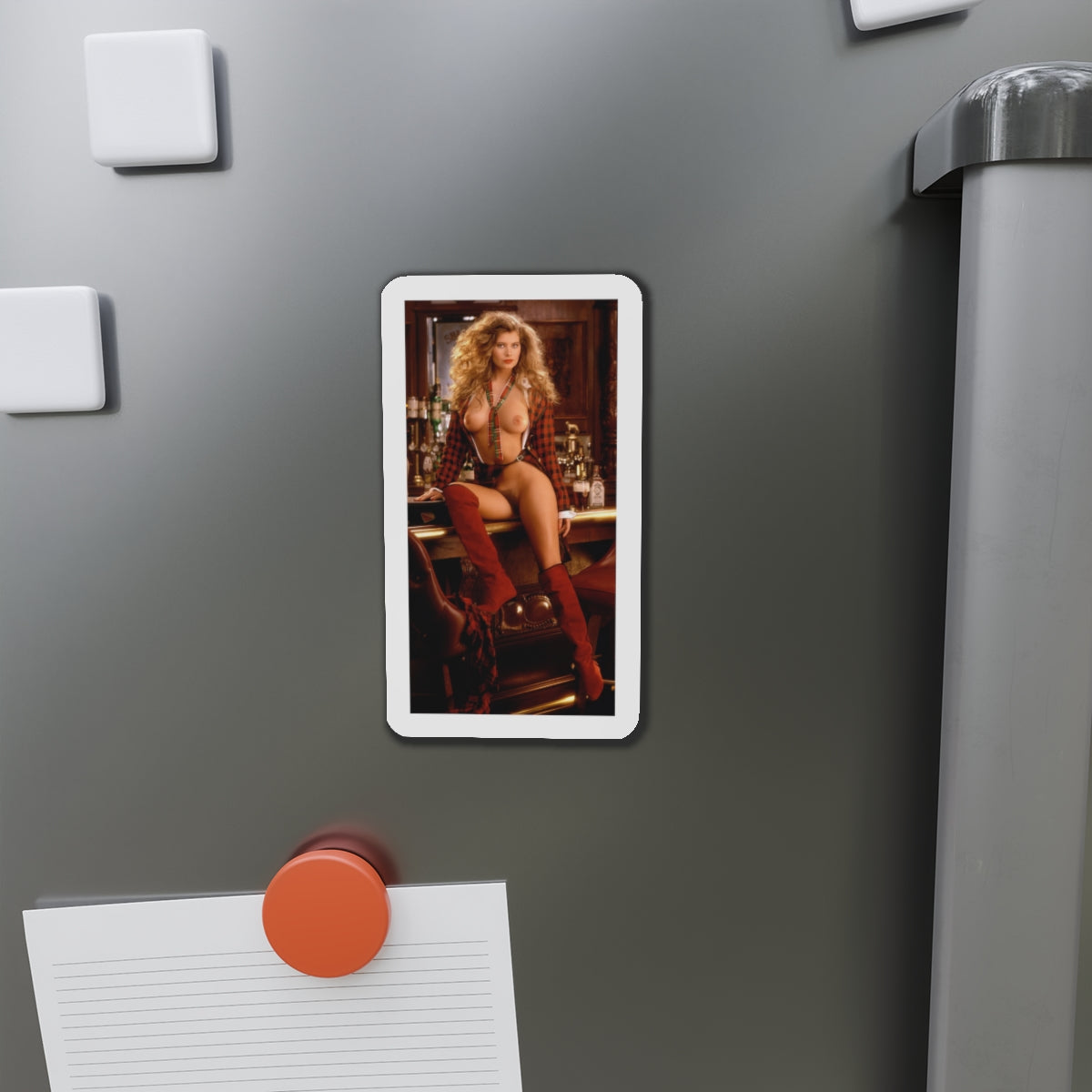 Die-Cut Magnets Playboy Playmate February 1992 Tanya Beyer