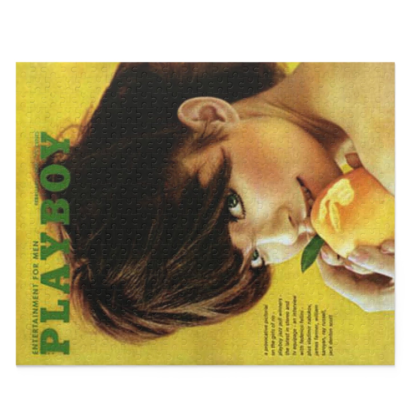 Puzzle (120, 252, 500-Piece) Playboy Cover February 1966