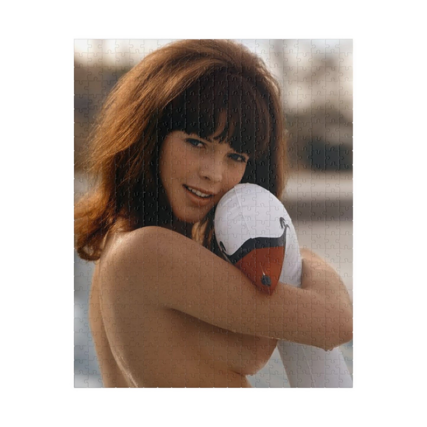 Puzzle (110, 252, 500, 1014-piece) Playboy Playmate August 1968 Gale Olson