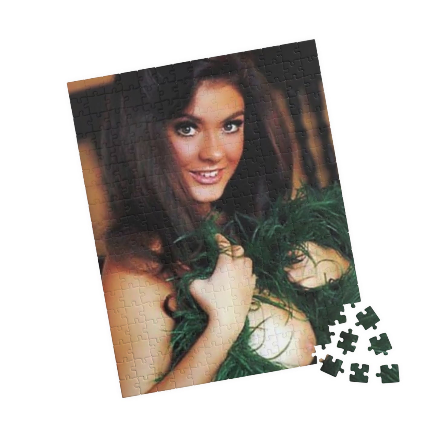 Puzzle (110, 252, 520, 1014-piece) Cynthia Myers Nude