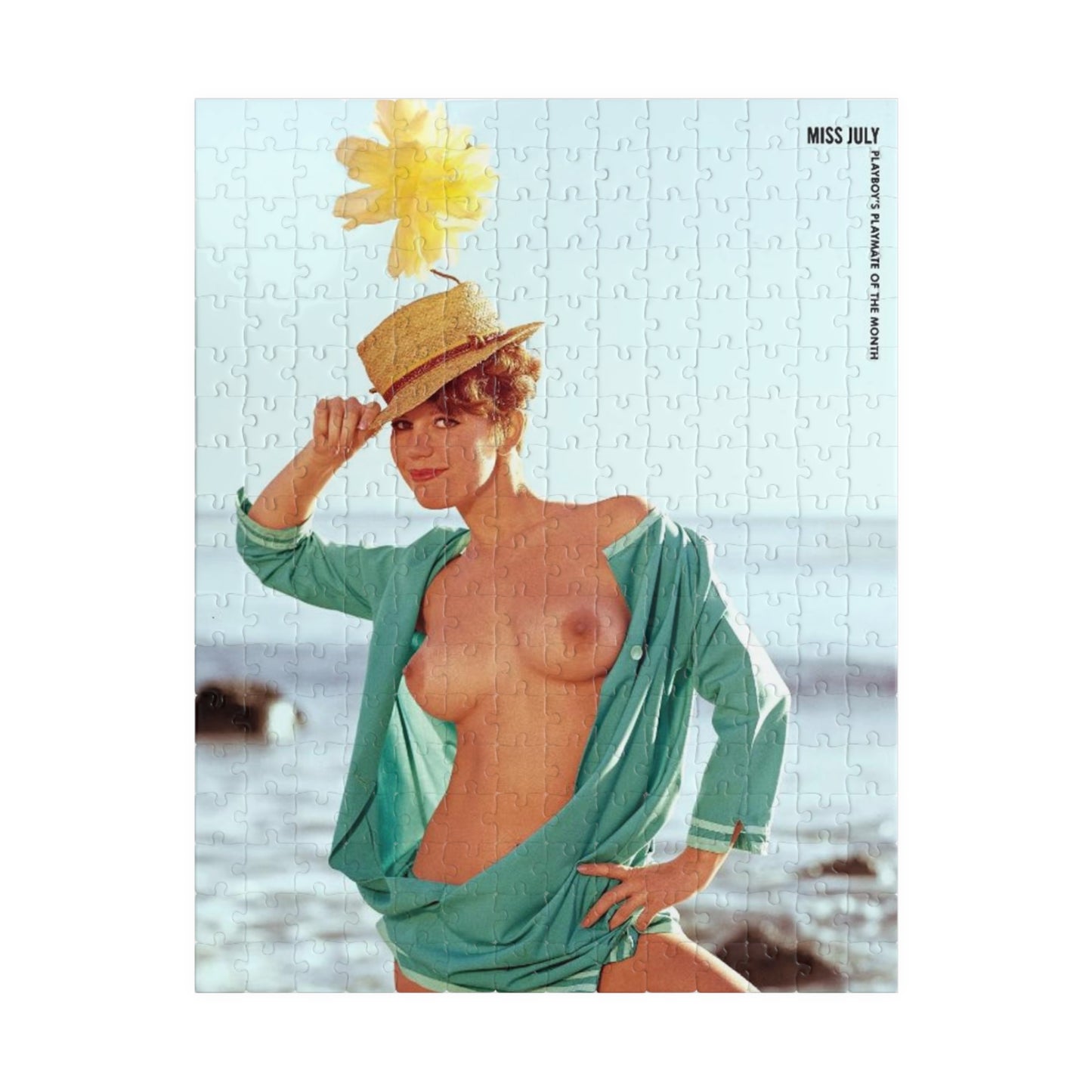 Puzzle (110, 252, 500, 1014-piece) Playboy Playmate July 1965 Gay Collier