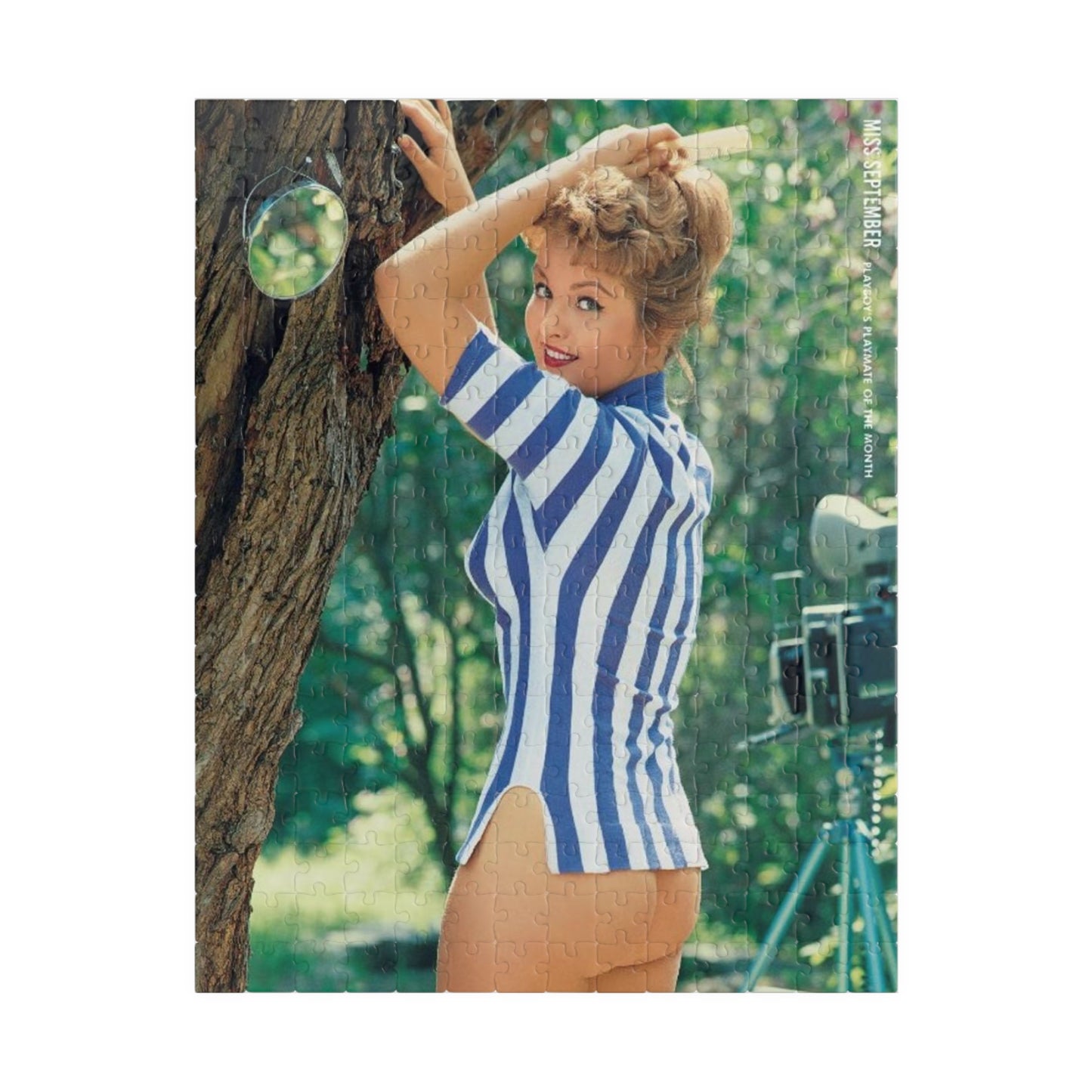 Puzzle (110, 252, 500, 1014-piece) Playboy Playmate September 1959 Marianne Gaba