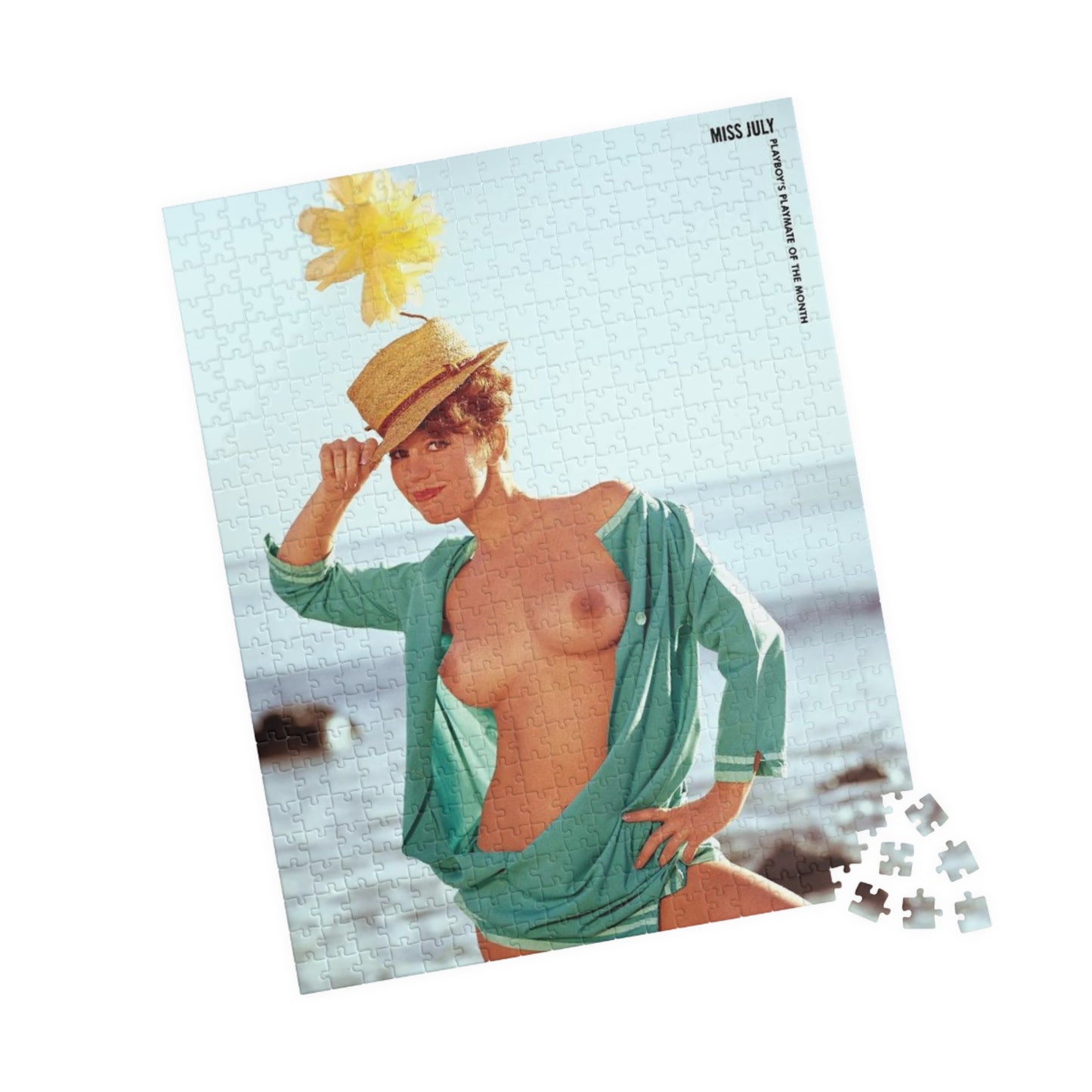 Puzzle (110, 252, 500, 1014-piece) Playboy Playmate July 1965 Gay Collier