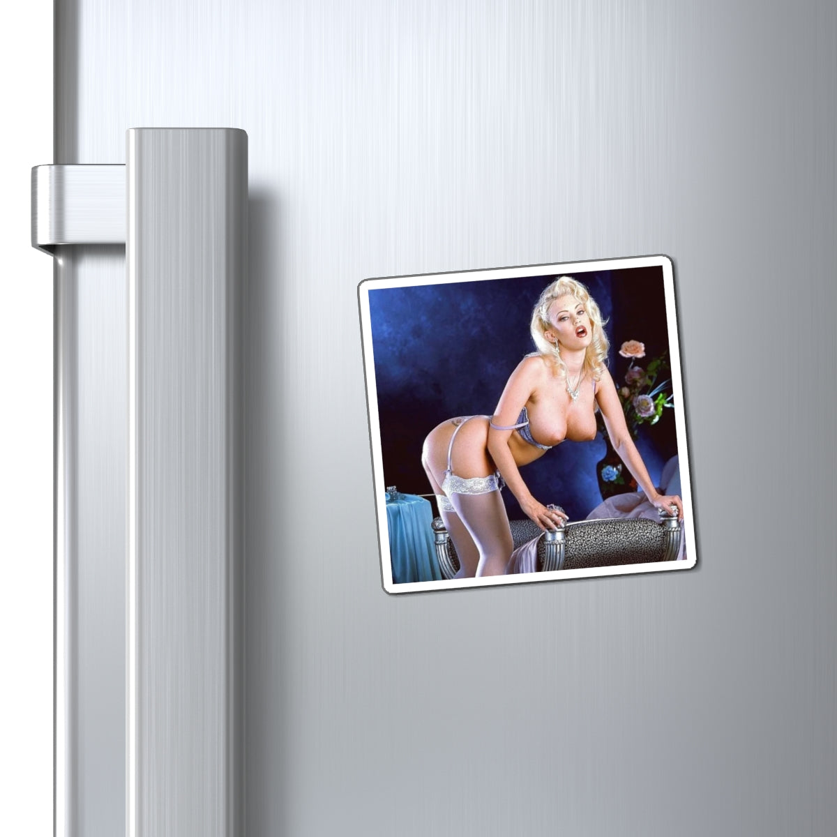 Magnets Pornstar Jenna Jameson Nude