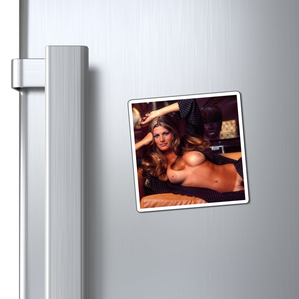 Magnets Playboy Playmate December 1974 Janice Raymond