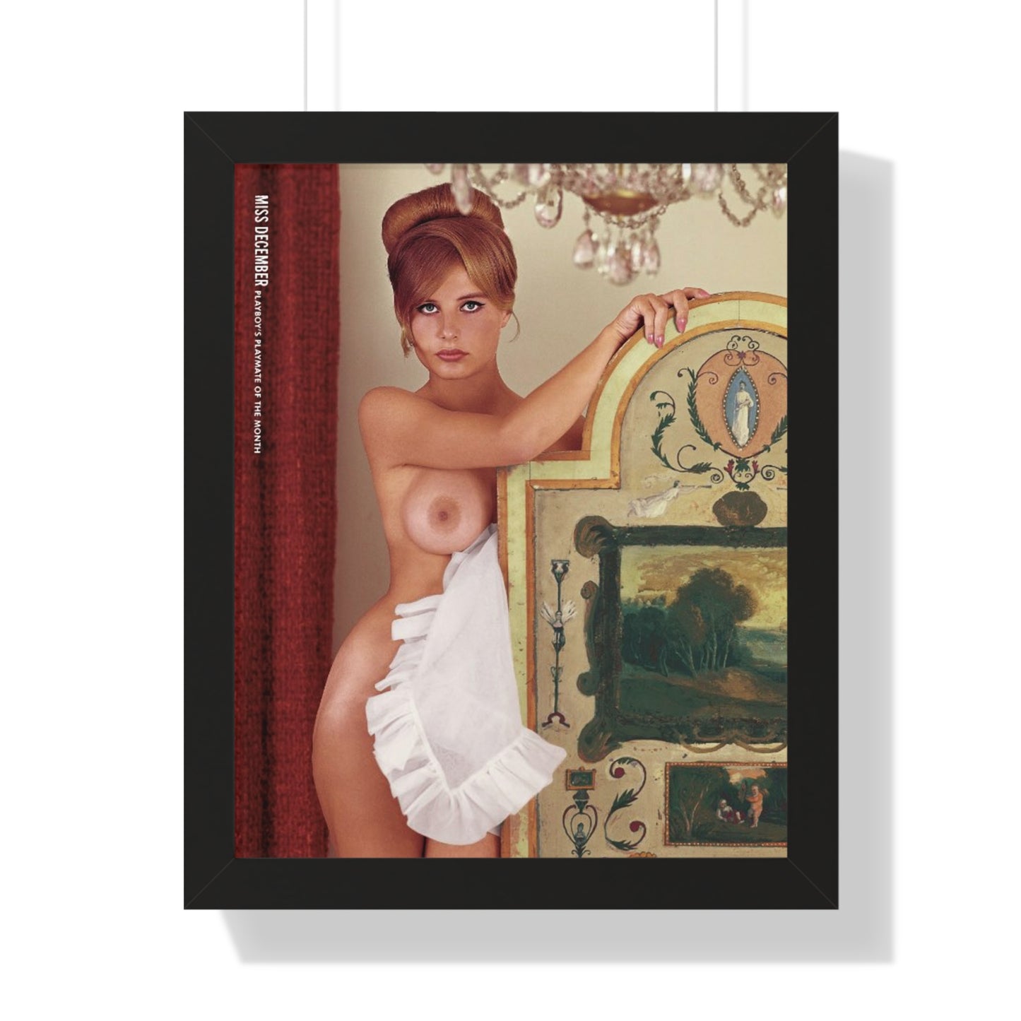 Framed Vertical Poster Playboy Playmate December 1963 Donna Michelle