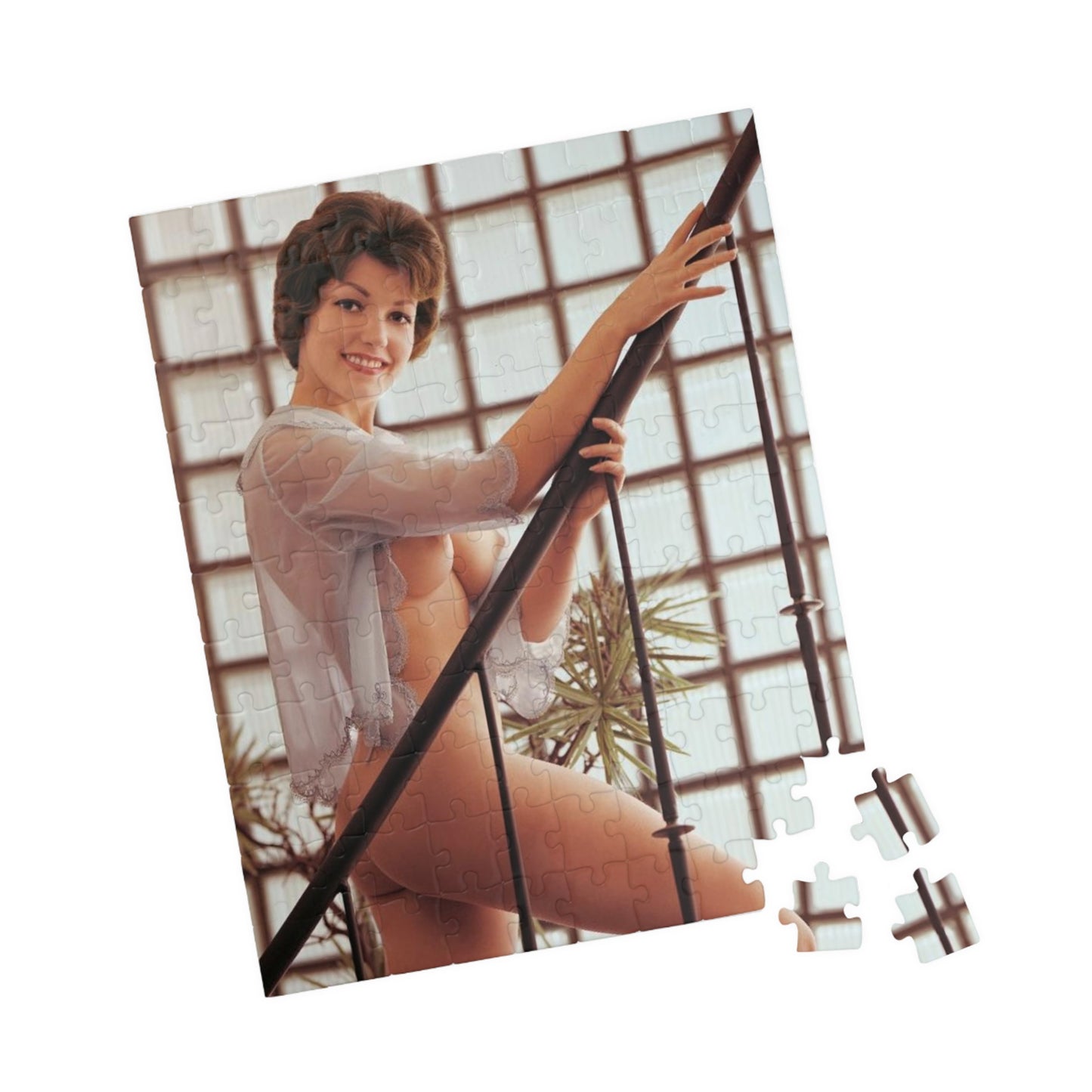 Puzzle (110, 252, 500, 1014-piece) Playboy Playmate September 1960 Ann Davis