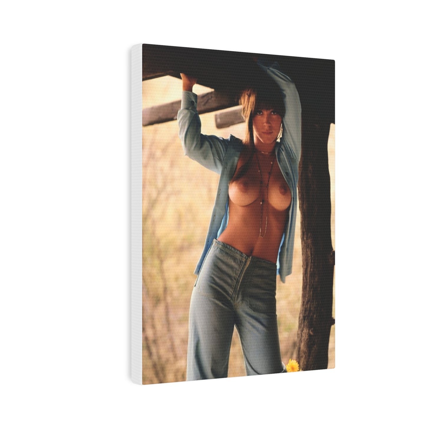 Canvas Photo Tile Playboy Playmate August 1969 Debbie Hooper