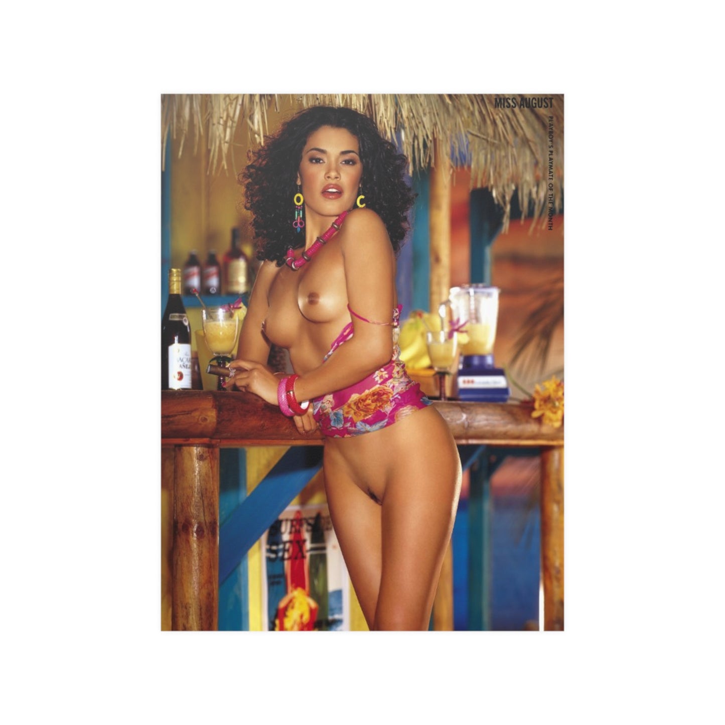 Satin Posters (210gsm) Playboy Playmate August 2002 Christina Santiago