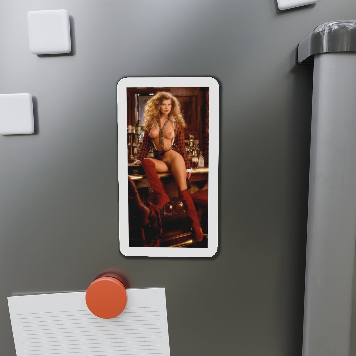 Die-Cut Magnets Playboy Playmate February 1992 Tanya Beyer