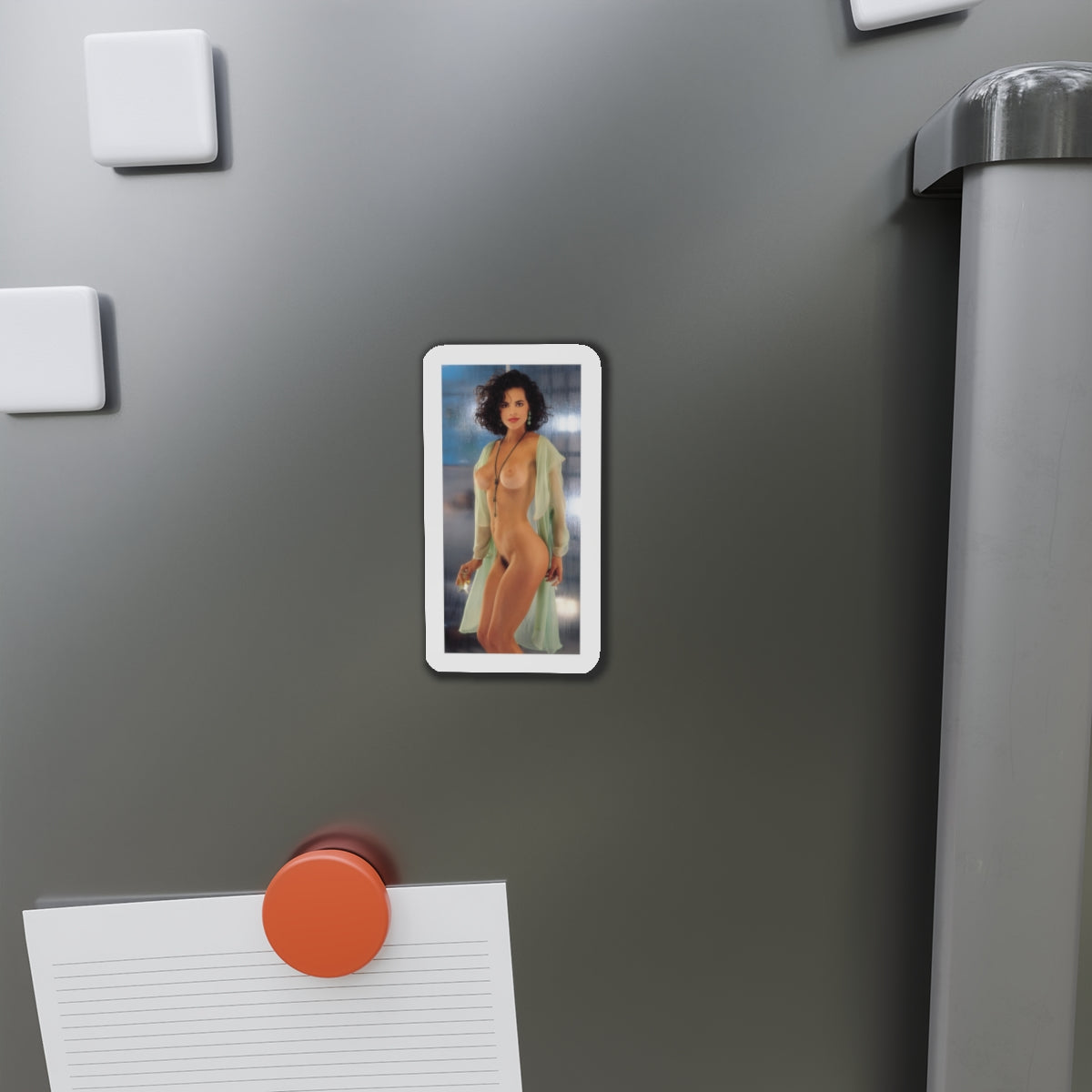 Die-Cut Magnets Playboy Playmate June 1993 Alesha Marie Oreskovich