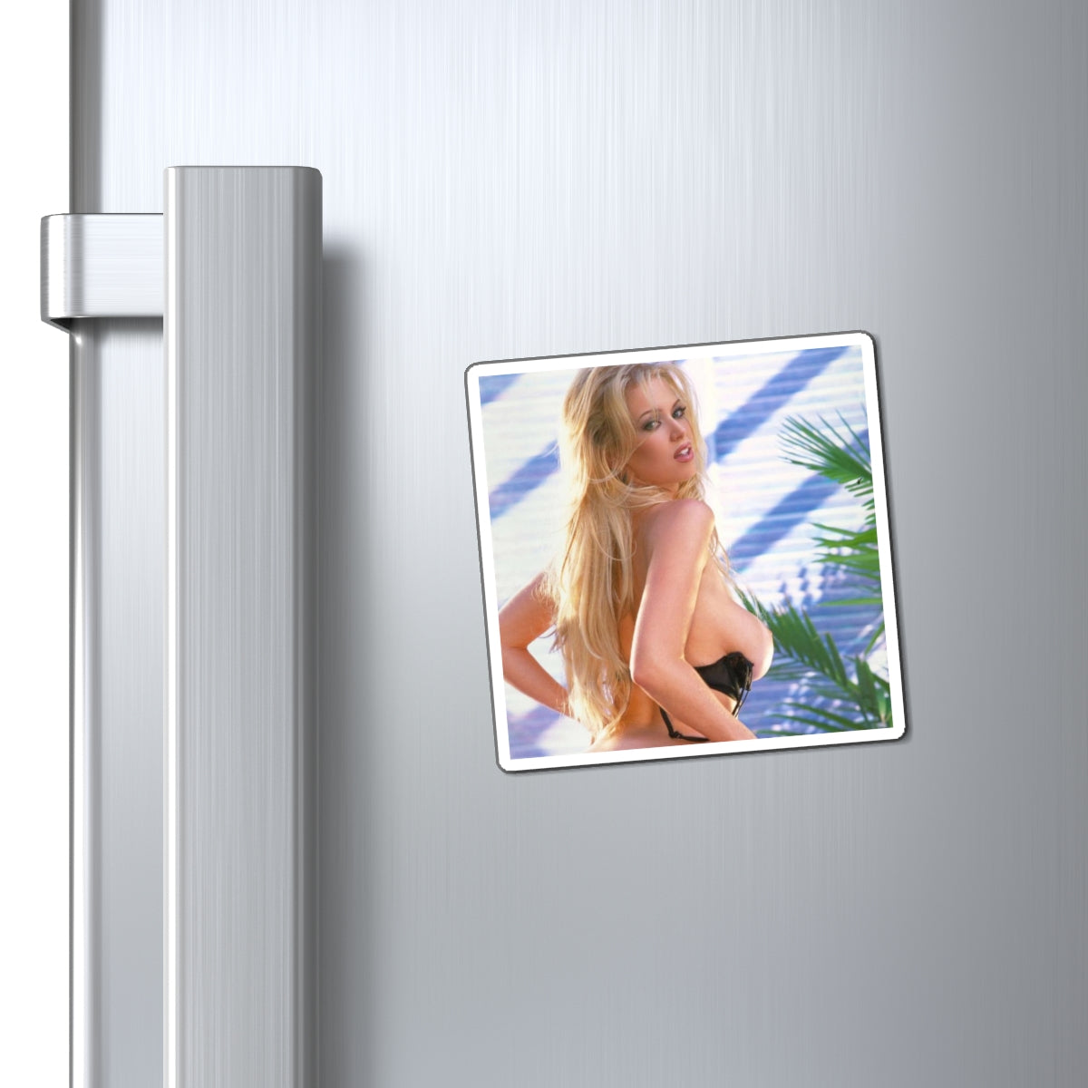Magnets Pornstar Jenna Jameson Nude