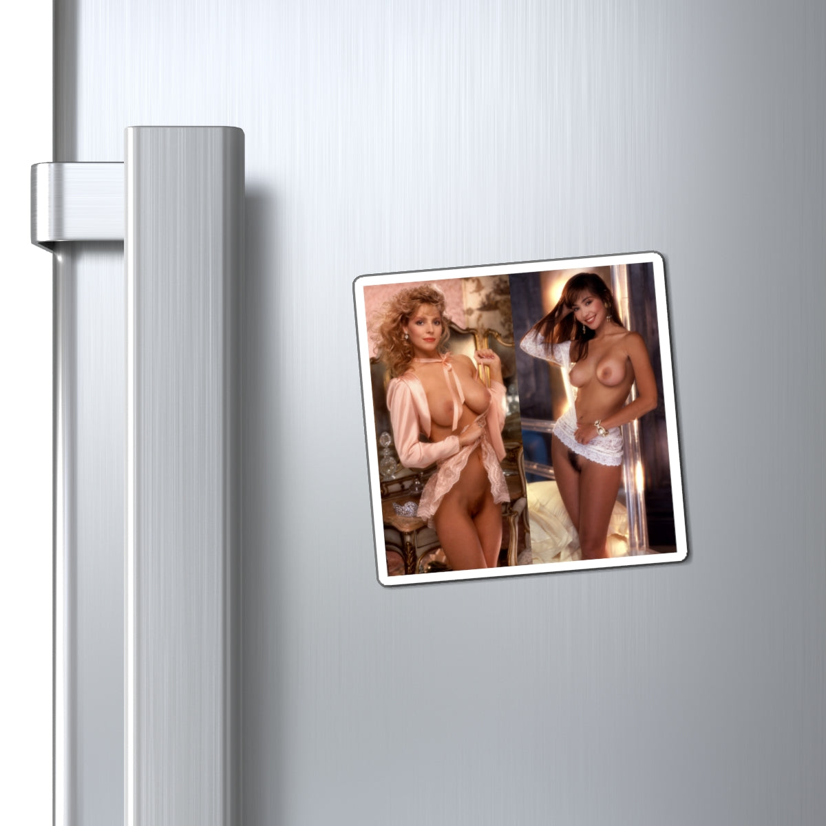 Magnets Playboy Playmates January February 1991