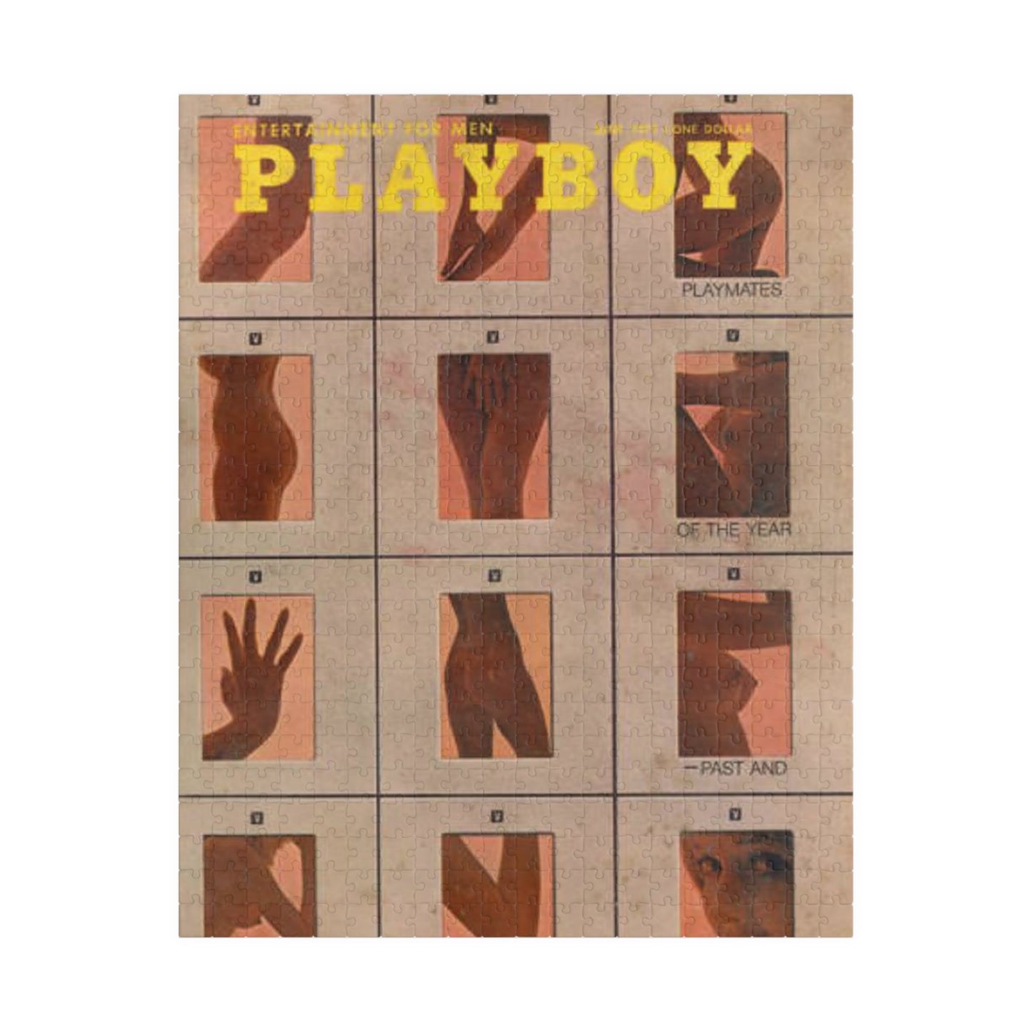 Puzzle (110, 252, 500, 1014-piece) Playboy Cover June 1971