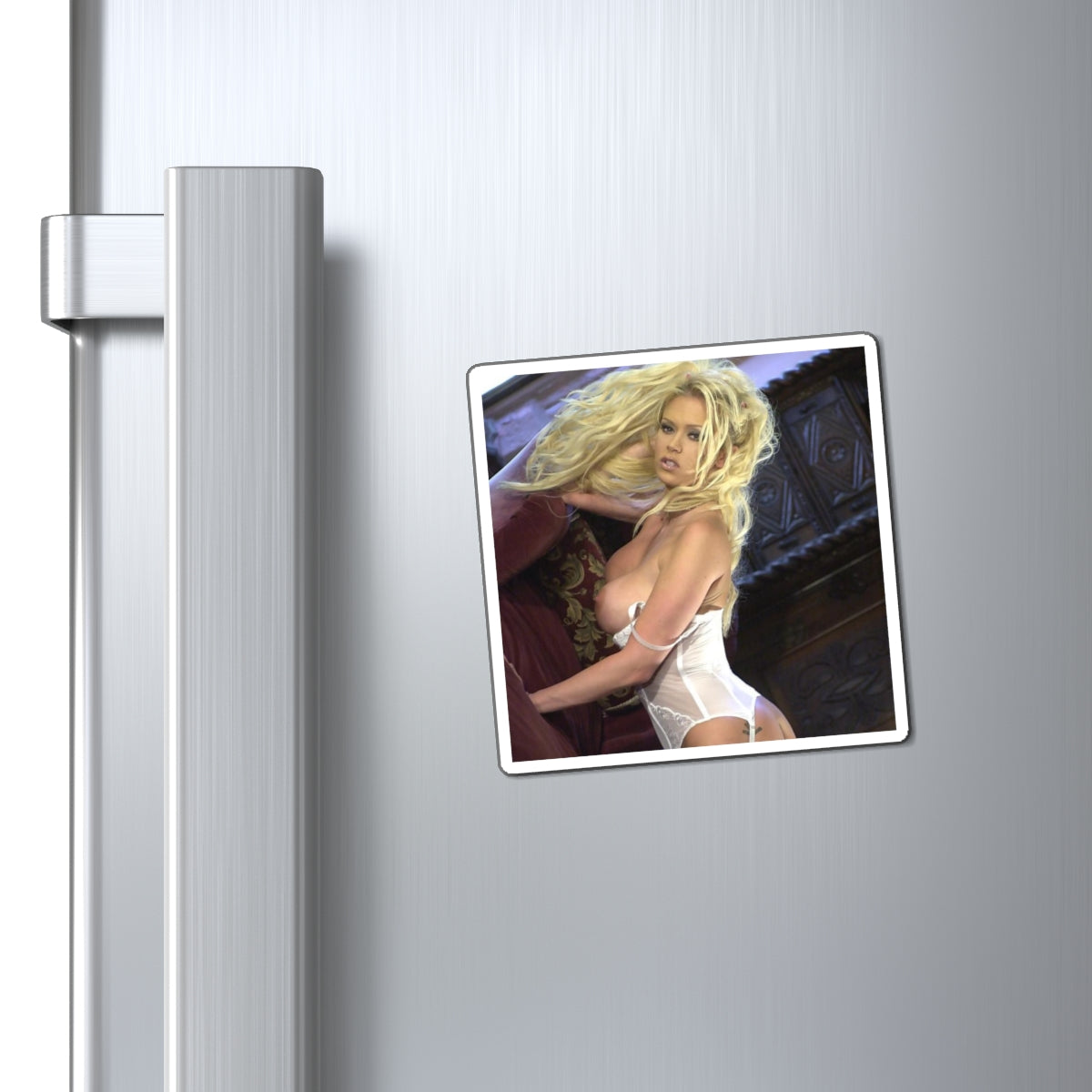 Magnets Pornstar Jenna Jameson Nude