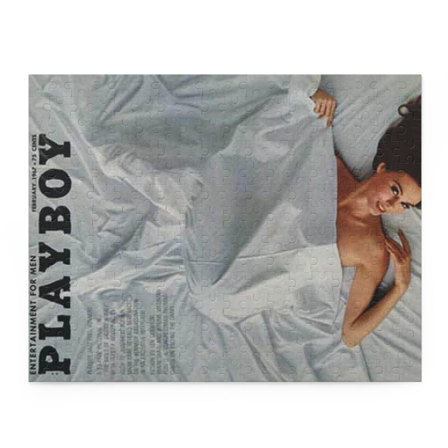 Puzzle (120, 252, 500-Piece) Playboy Cover February 1967