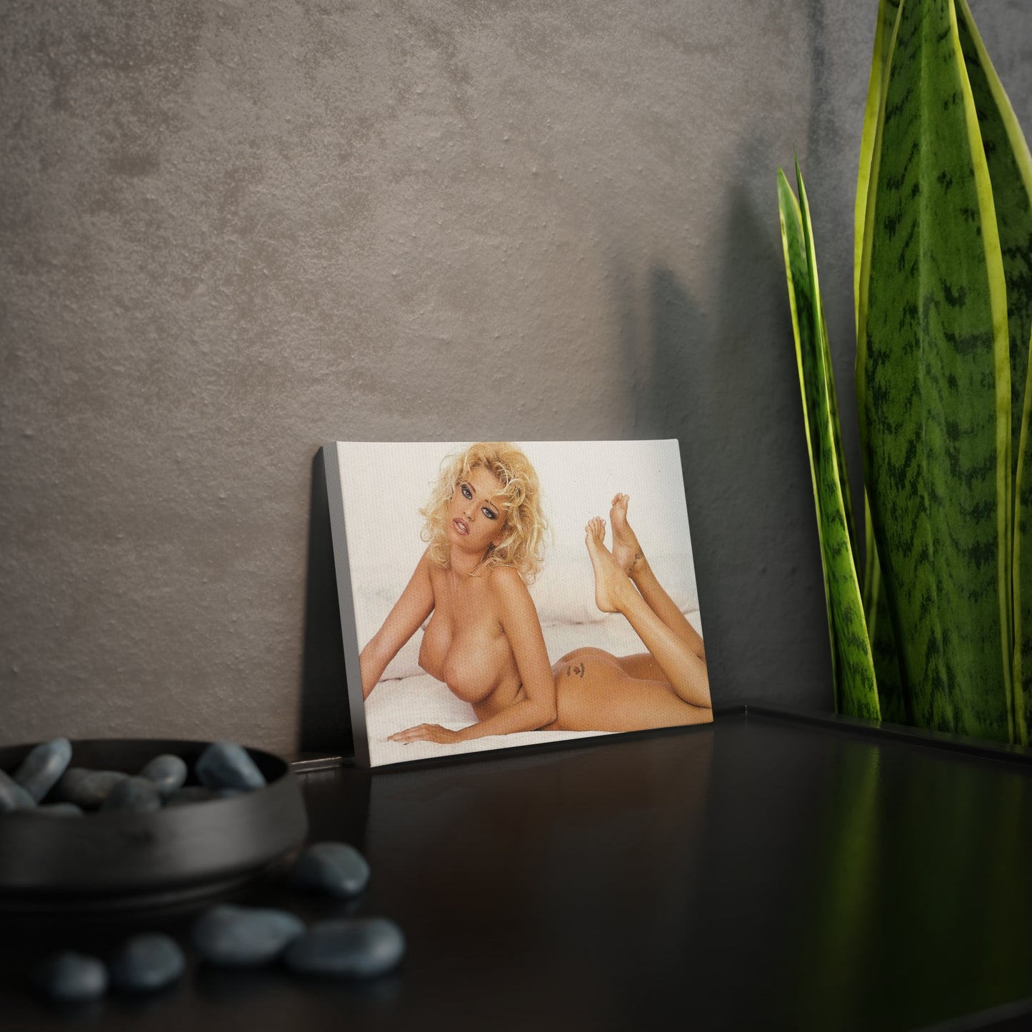 Canvas Photo Tile Pornstar Jenna Jameson Nude