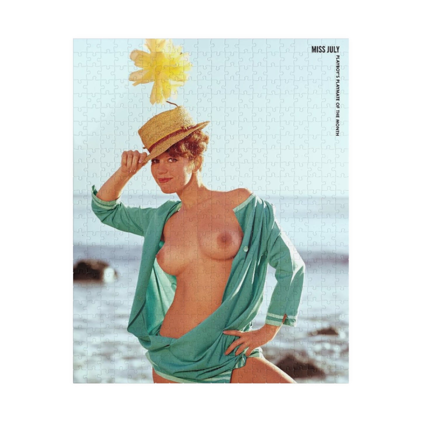Puzzle (110, 252, 500, 1014-piece) Playboy Playmate July 1965 Gay Collier