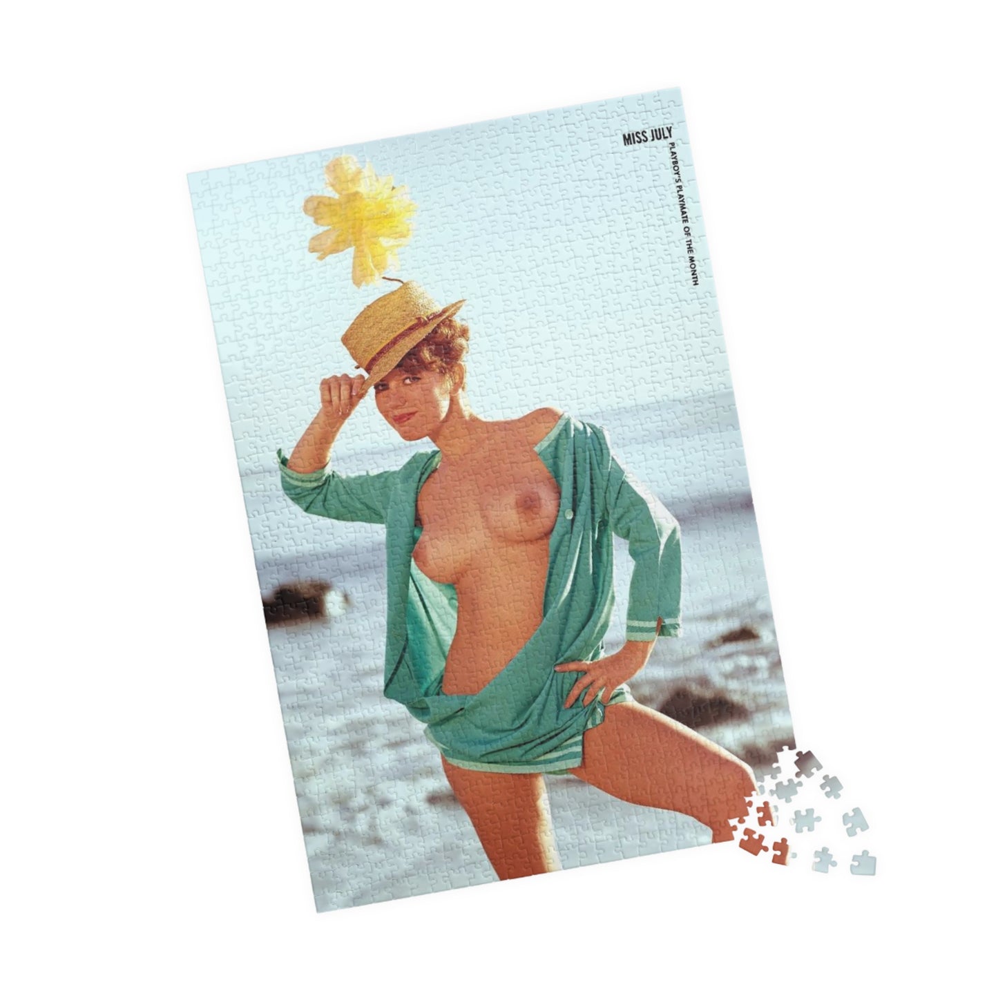 Puzzle (110, 252, 500, 1014-piece) Playboy Playmate July 1965 Gay Collier