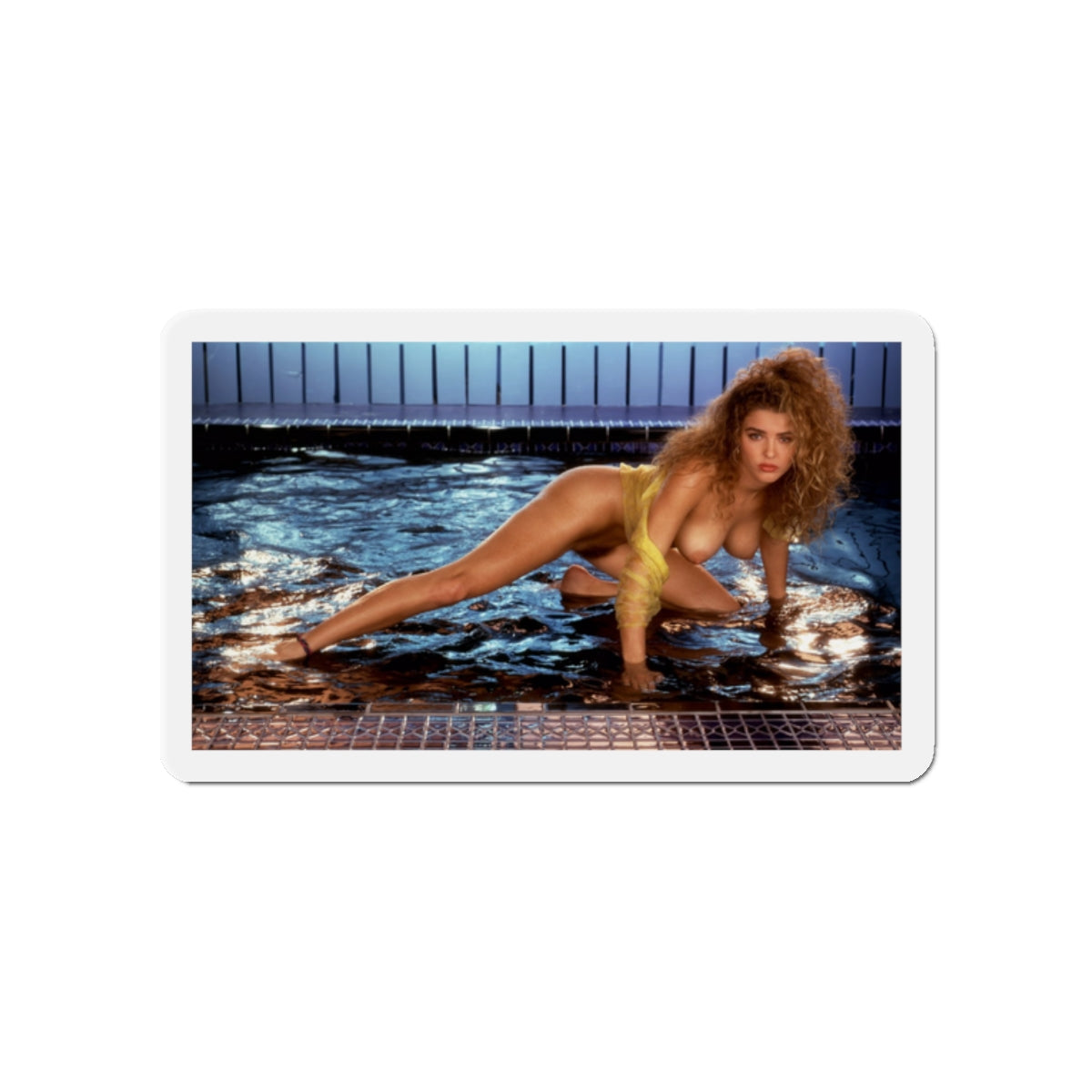 Die-Cut Magnets Playboy Playmate August 1991 Corinna Harney