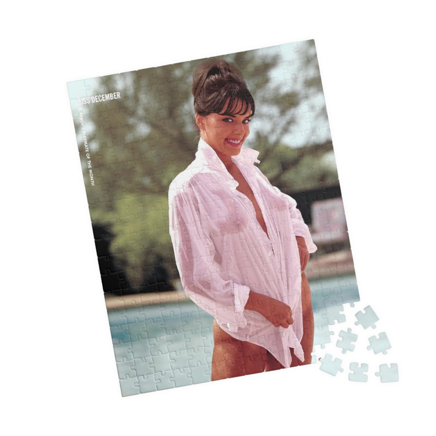 Puzzle (110, 252, 500, 1014-piece) Playboy Playmate December 1964 Jo Collins