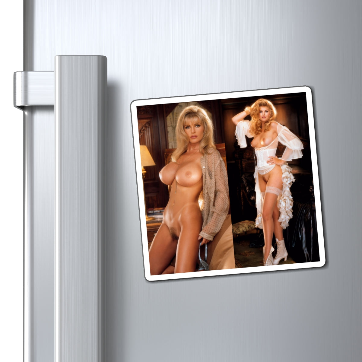 Magnets Playboy Playmate December 1993 Arlene Baxter