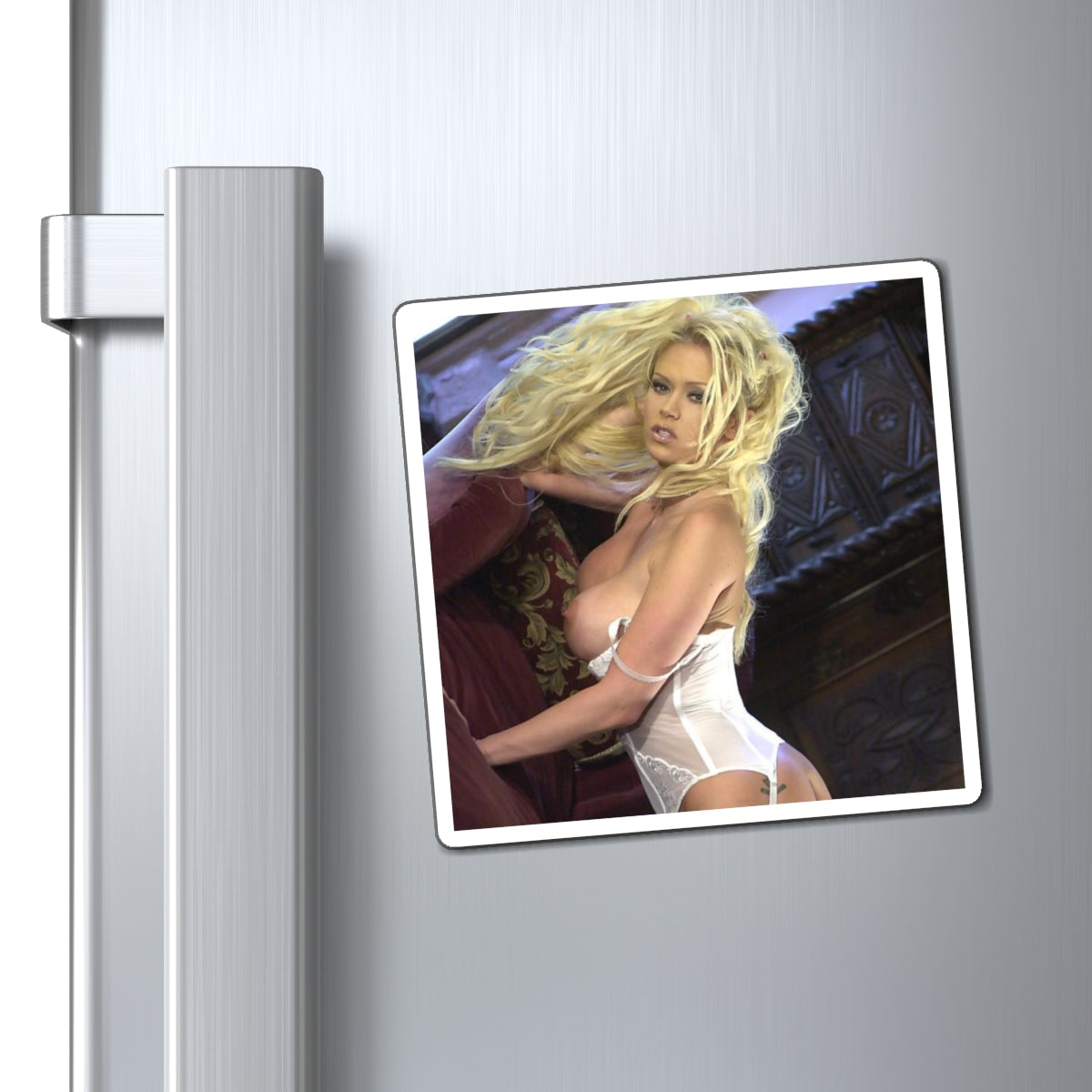 Magnets Pornstar Jenna Jameson Nude