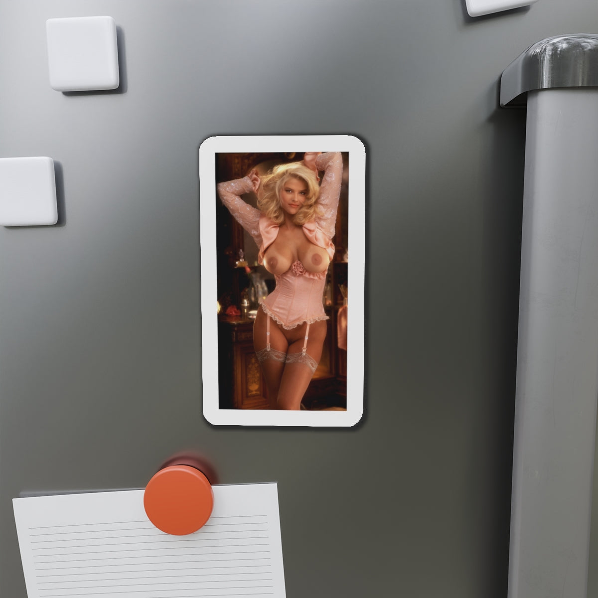 Die-Cut Magnets Playboy Playmate May 1992 Anna Nicole Smith