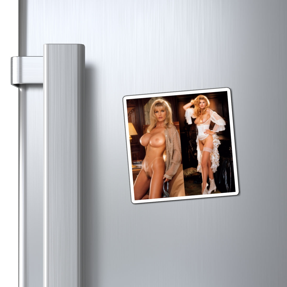Magnets Playboy Playmate December 1993 Arlene Baxter