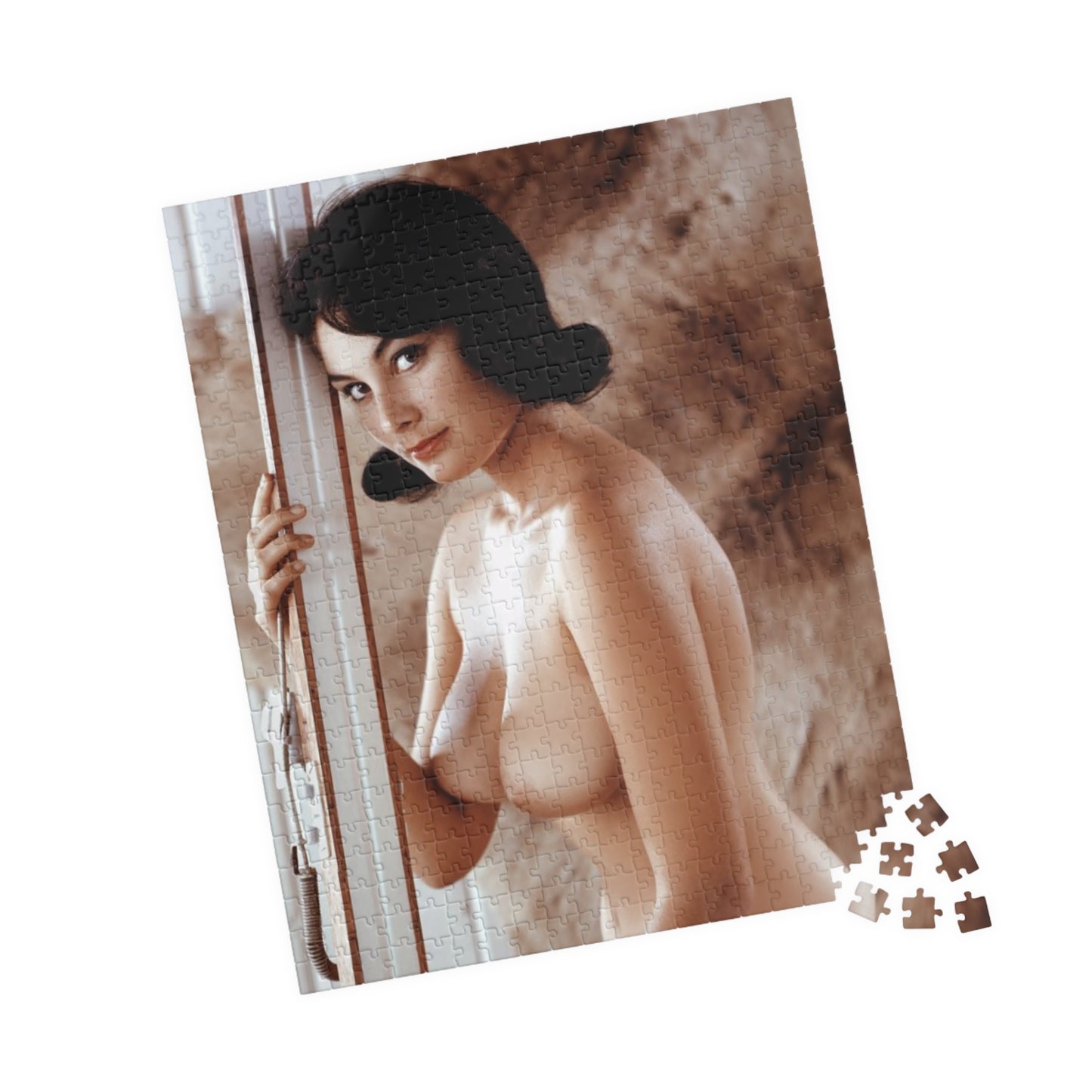 Puzzle (110, 252, 500, 1014-piece) Playmate February 1961 Barbara Ann Lawford