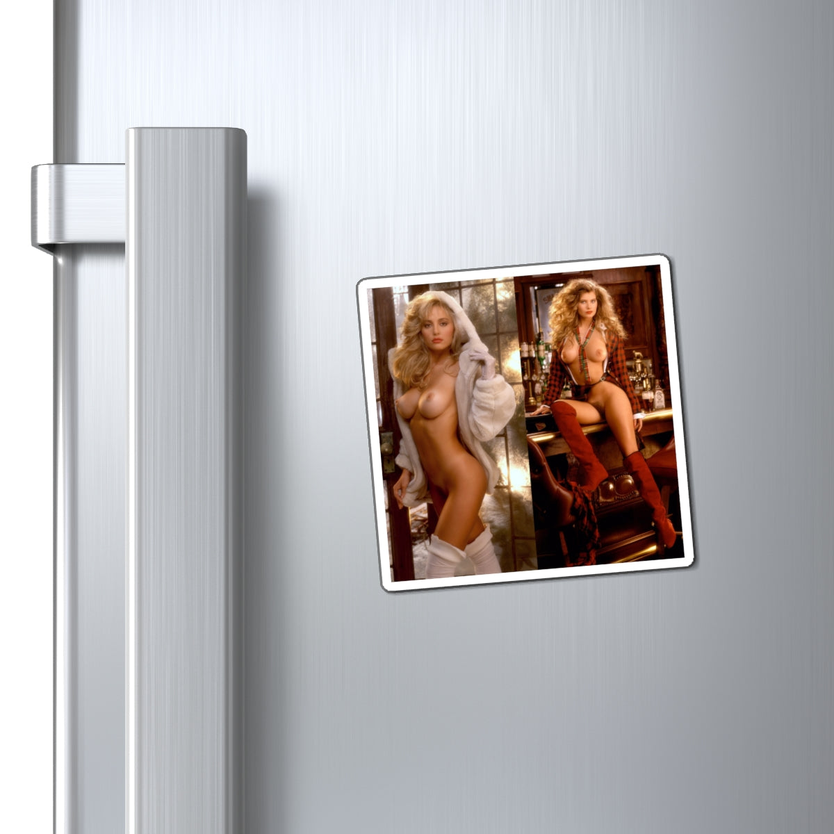 Magnets Playboy Playmates 1992 January February