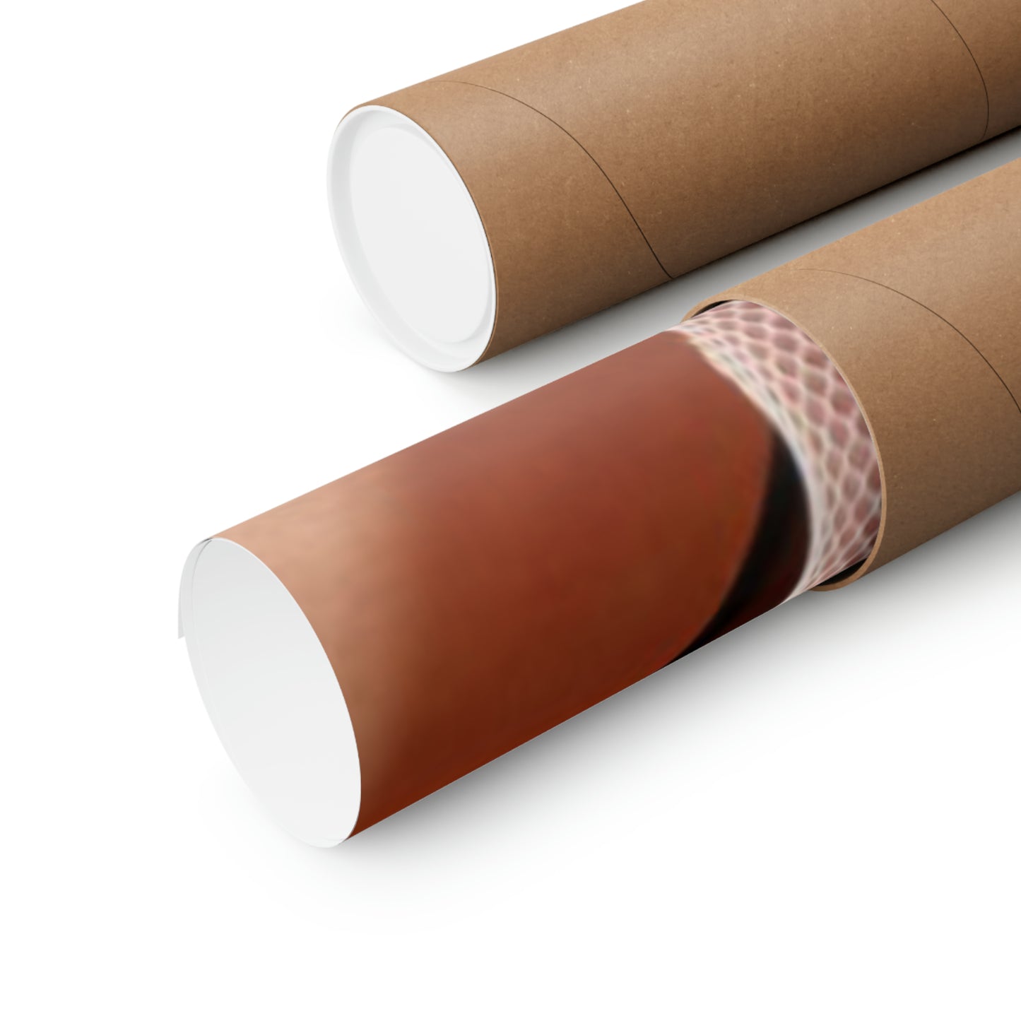 Matte Vertical Poster Playboy Playmate October 2003 Audra Lynn