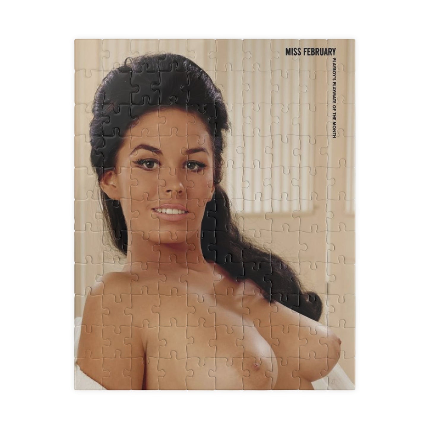 Puzzle (110, 252, 500, 1014-piece) Playboy Playmate Feb 1965 Jessica St. George