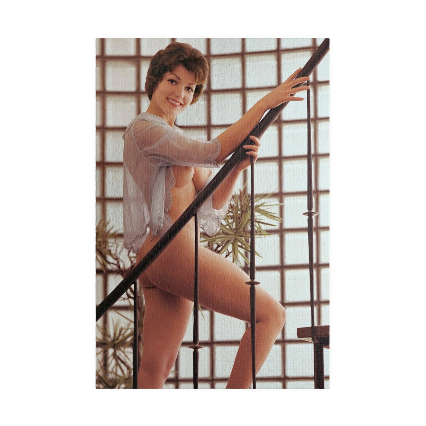 Puzzle (110, 252, 500, 1014-piece) Playboy Playmate September 1960 Ann Davis