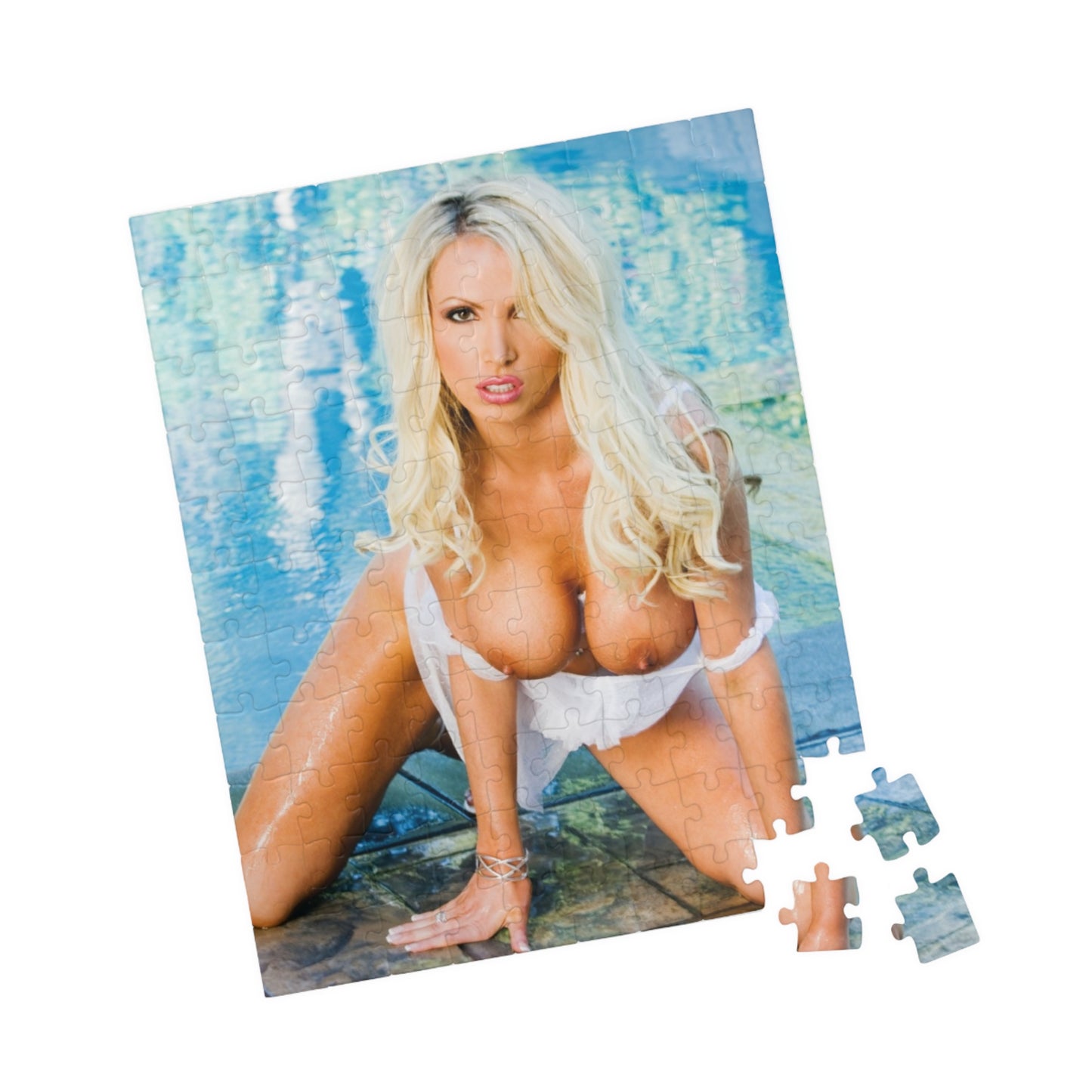 Puzzle (110, 252, 500, 1014-piece) Penthouse Pet April 2010 Nikki Benz